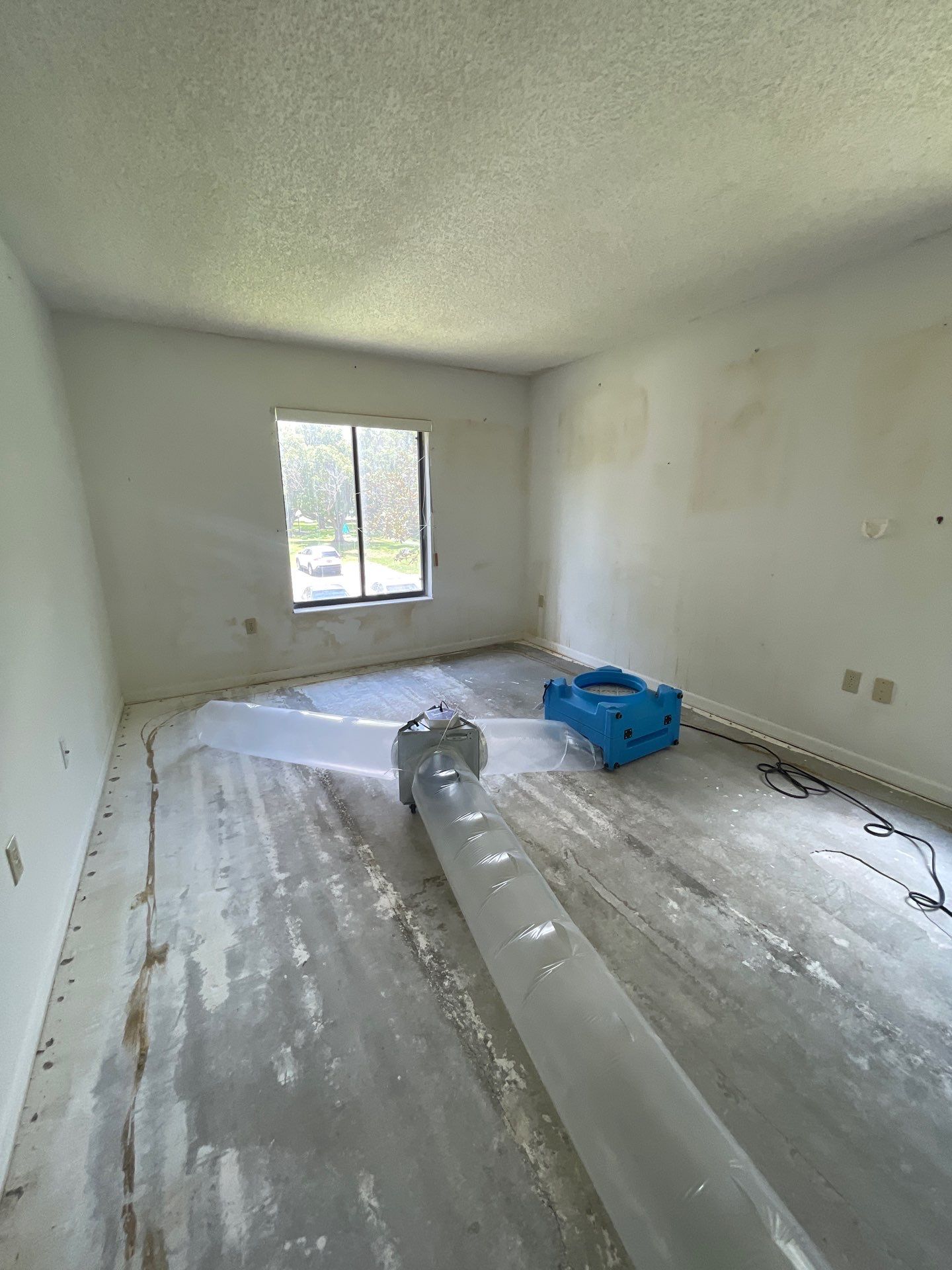 Horder house with Mold and Bacterial Contamination Issues  by Bay Coast Restoration 