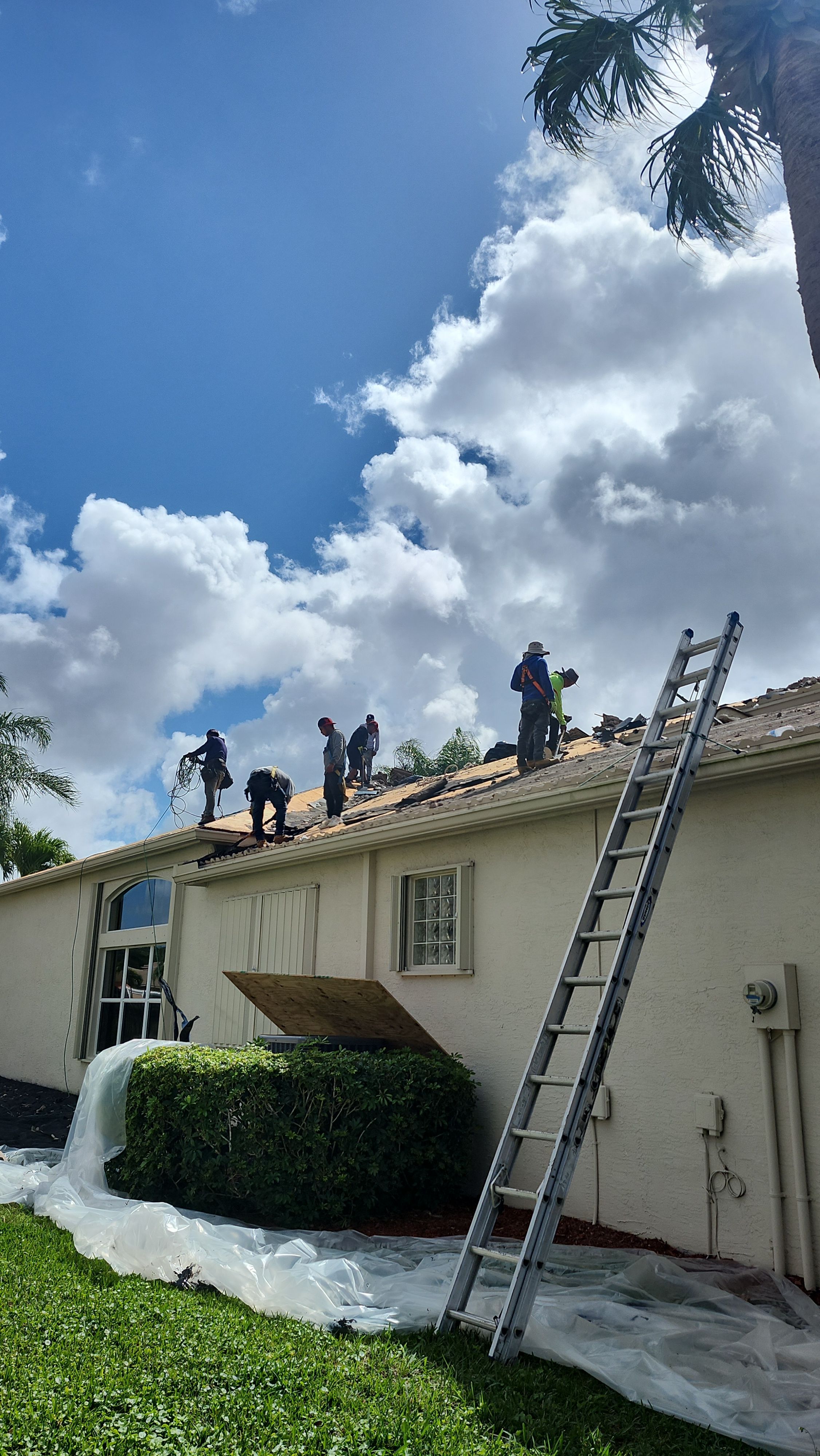 Full Concrete S-Tile Roof Replacement and Deck Repair in Wellington by Aastro Roofing