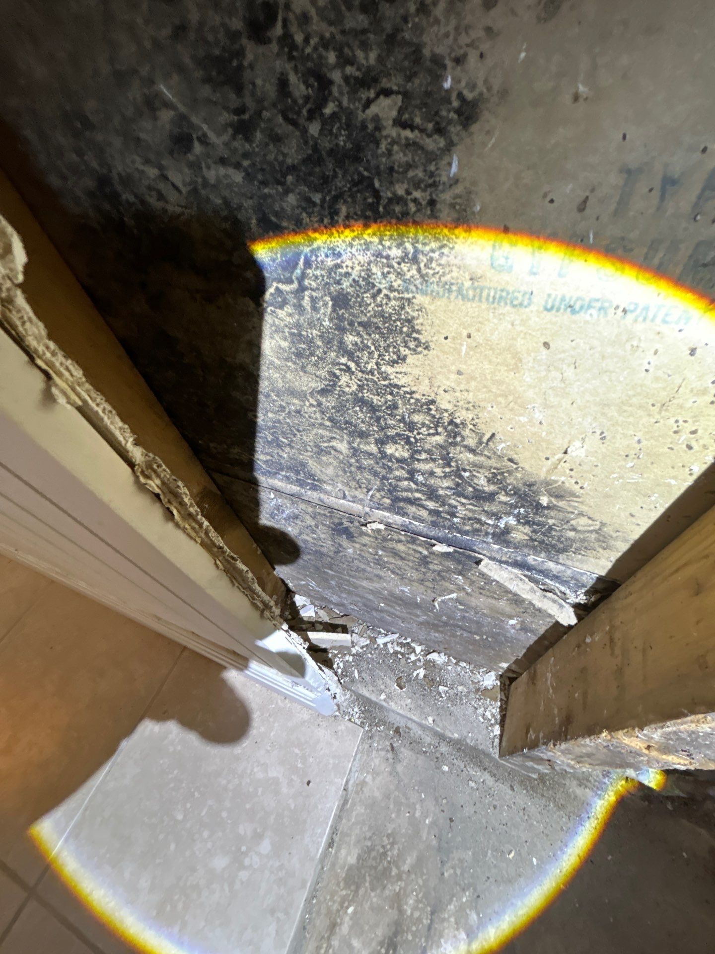 Mold Removal & Remediation In Seminole FL by Ampm Restoration Services