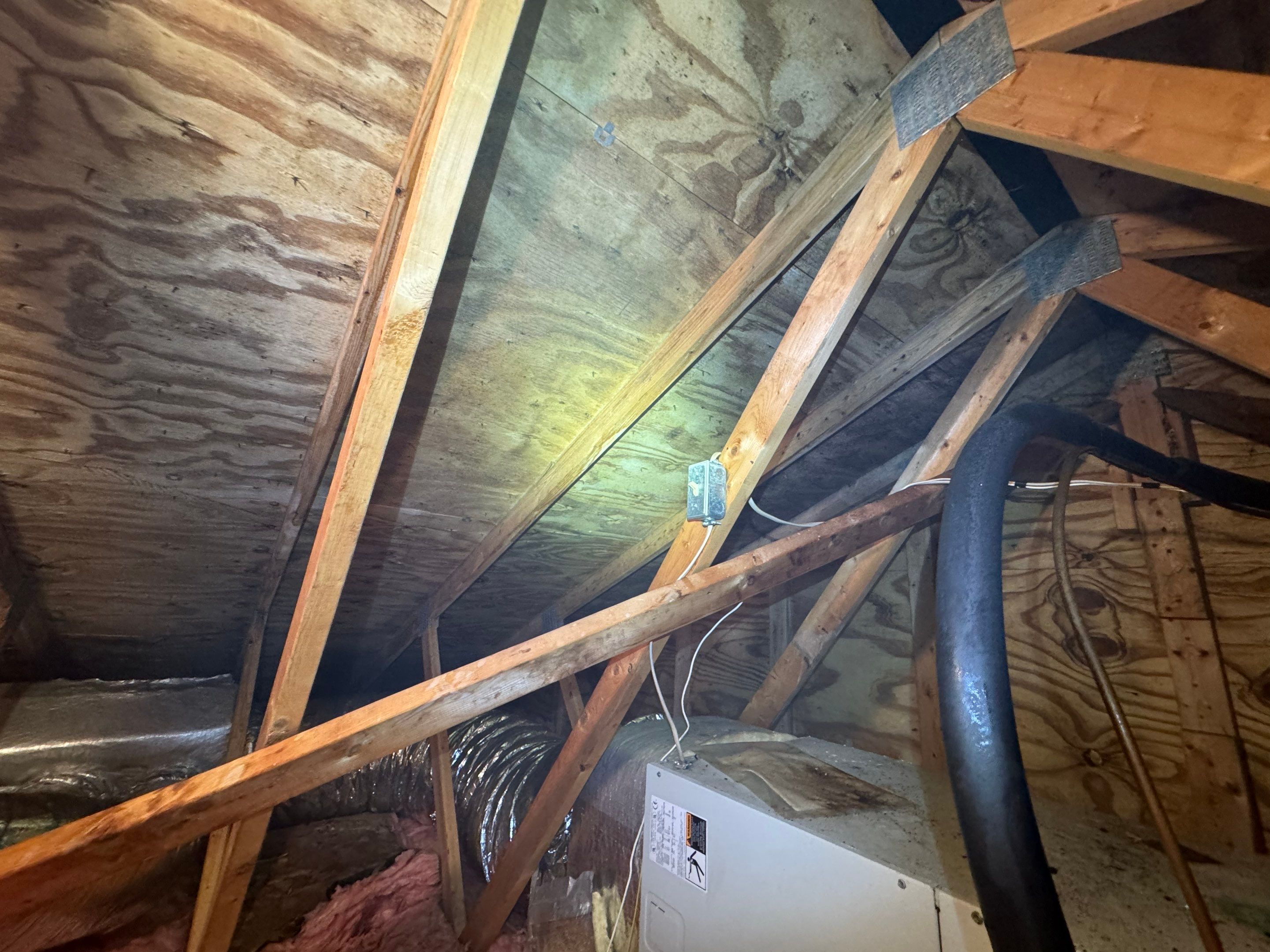 Attic Mold Remediation by Home Guarantee, LLC