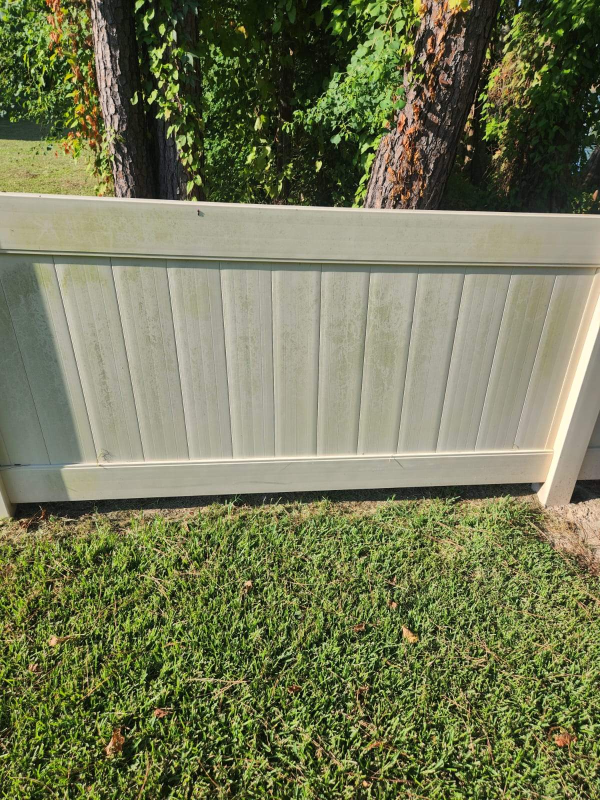 Fence Soft Wash by College Bros Outdoor services