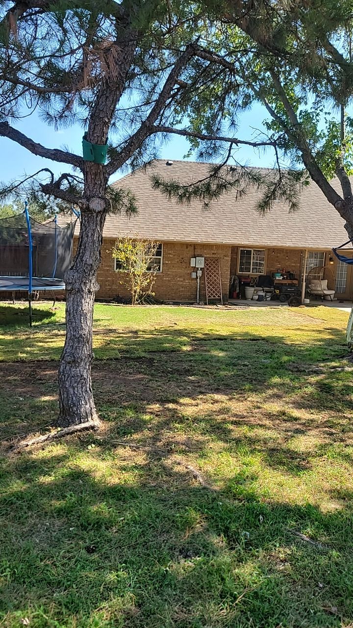 Tree removal , Concrete, Pergola, and sod install  by Clays Services Inc