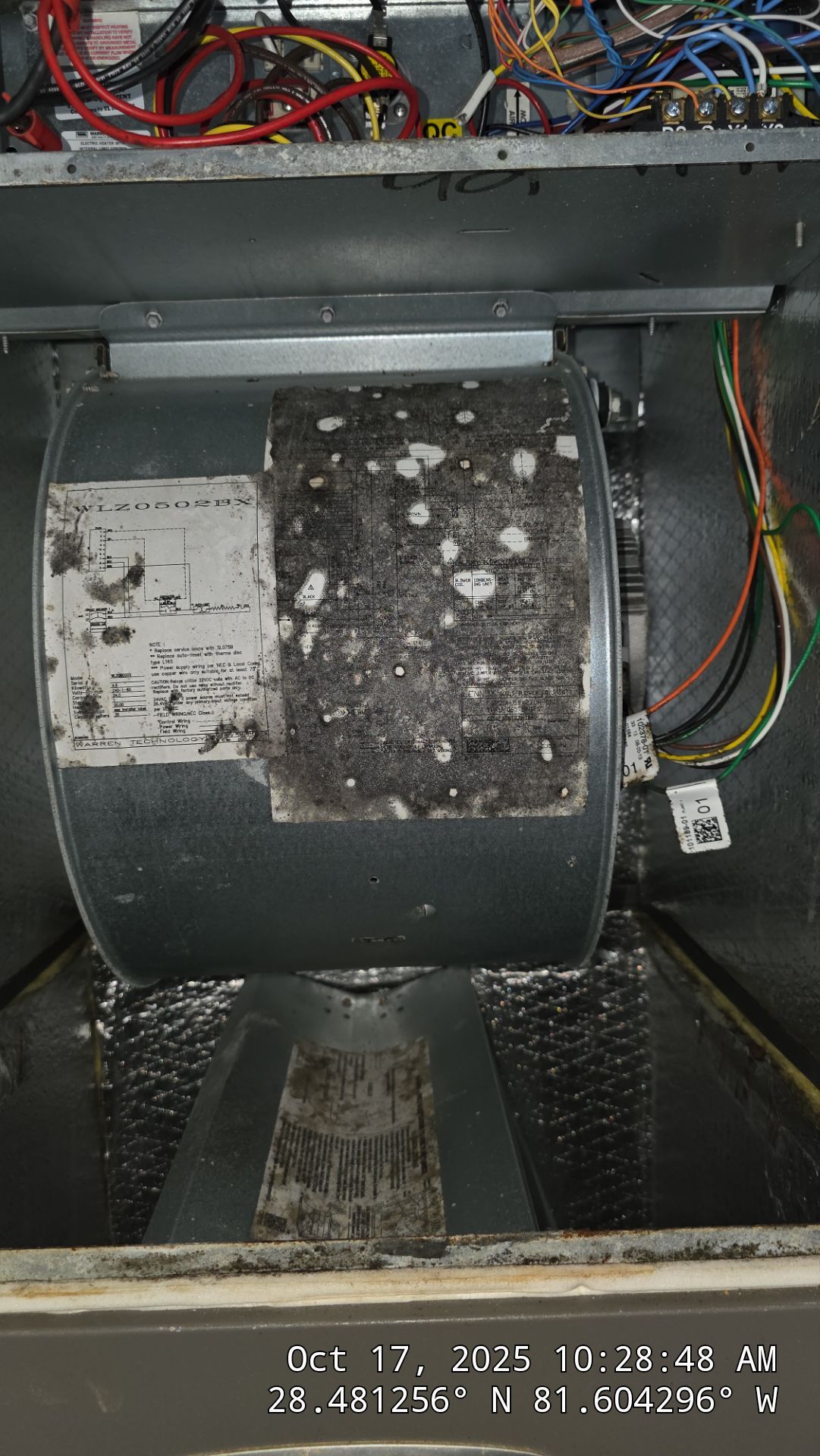 AIr Duct and Dryer Vent Cleaning in WInter Garden by Hygienic Air, Inc