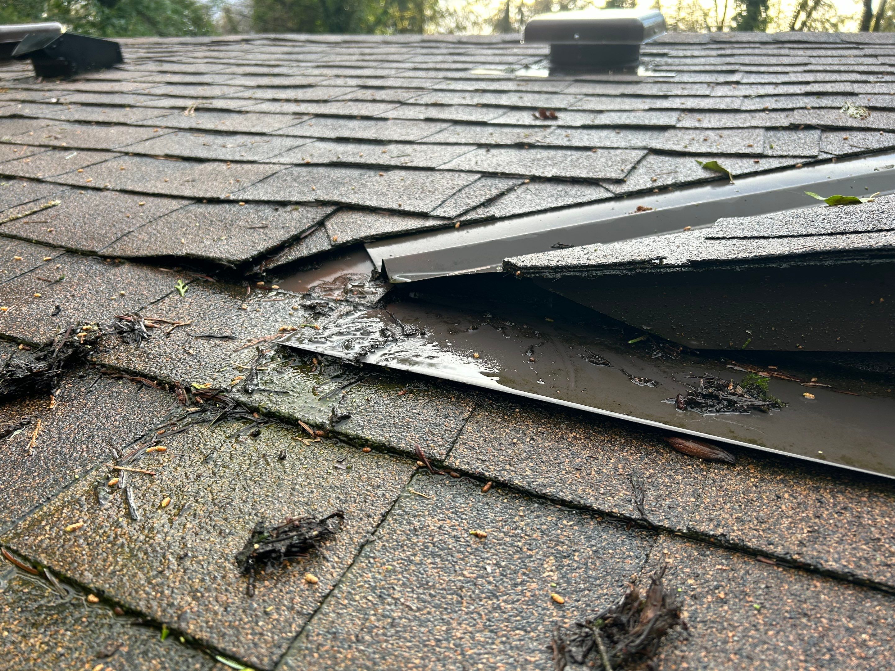 Emergency Leak Repair in Portland by Prodigy Roof Solutions