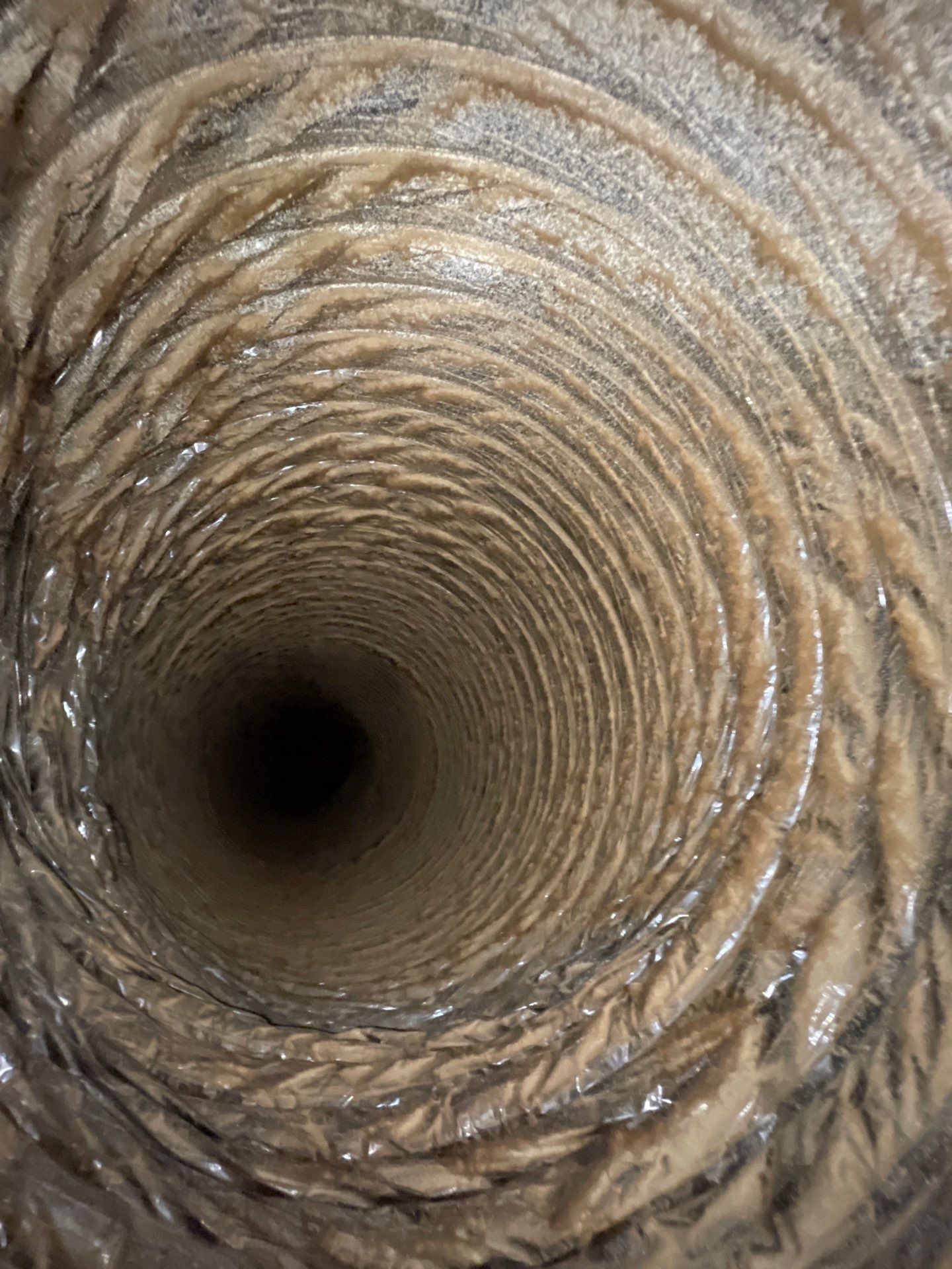 Air Duct and Dryer Vent Cleaning in Clermont by Hygienic Air, Inc