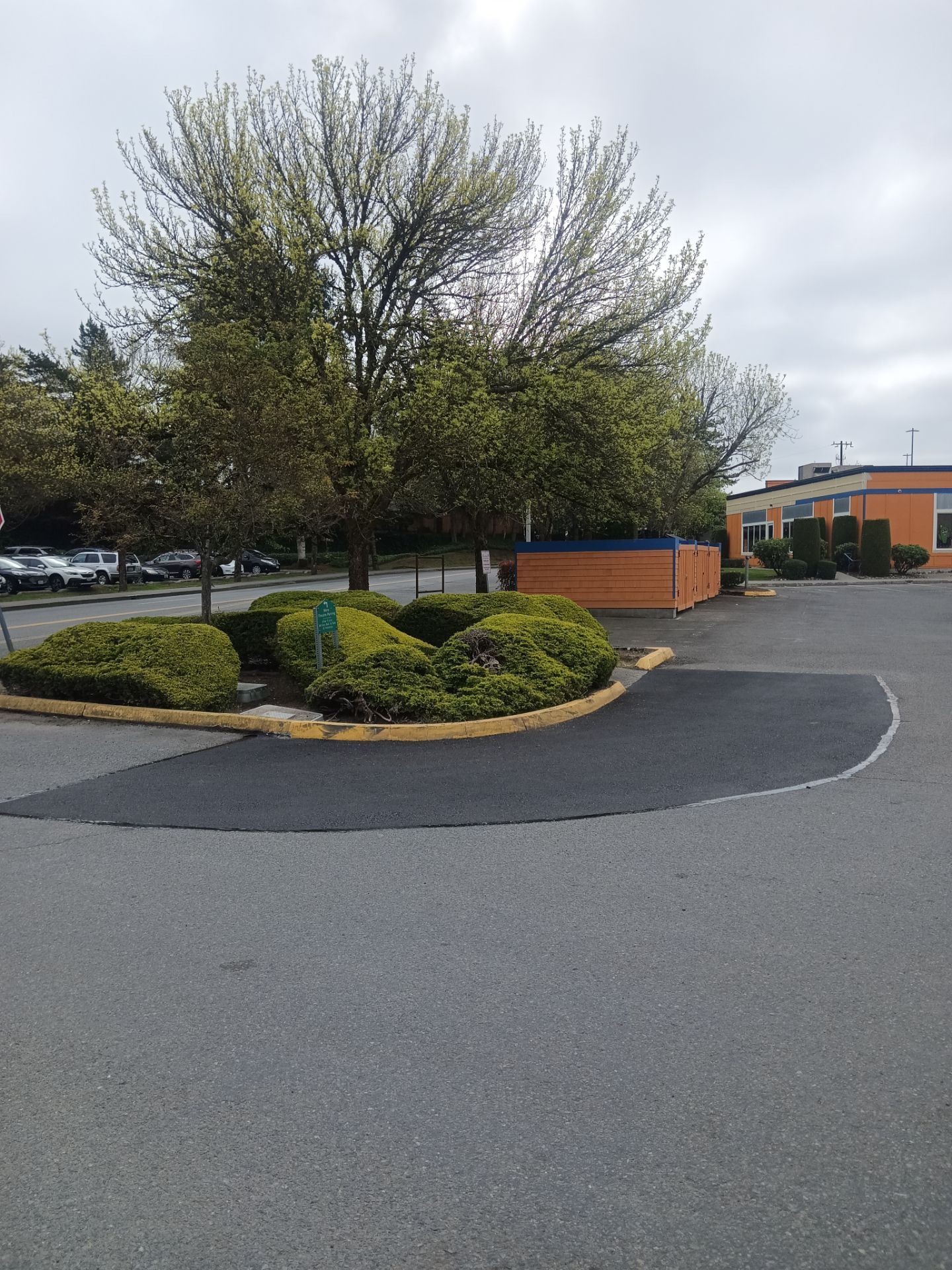 Asphalt Patch Repairs | Mountlake Terrace by Jireh Asphalt & Concrete Inc 