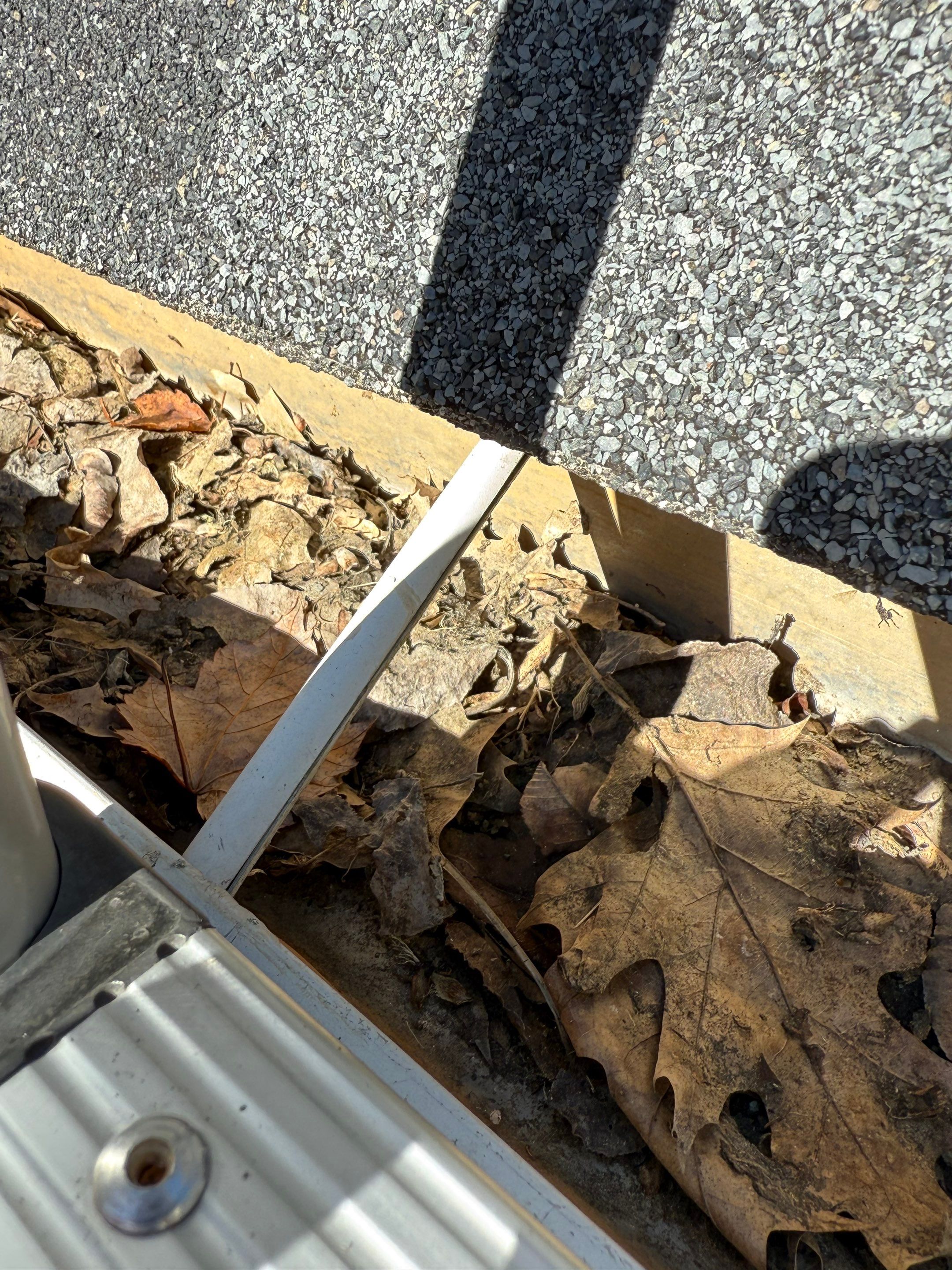 Westford Complete Gutter System with New PVC Fascia Upgrade by Mighty Dog Roofing of Greater Middlesex County