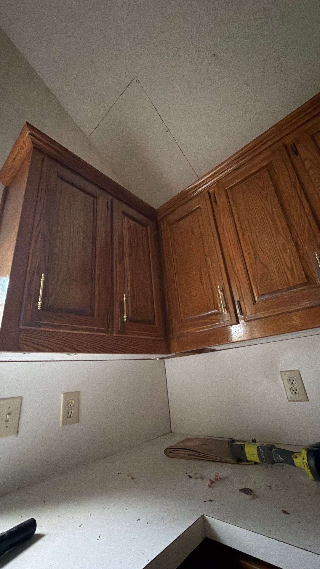 Kitchen ceiling bees by Rockwall Honey Bee Company