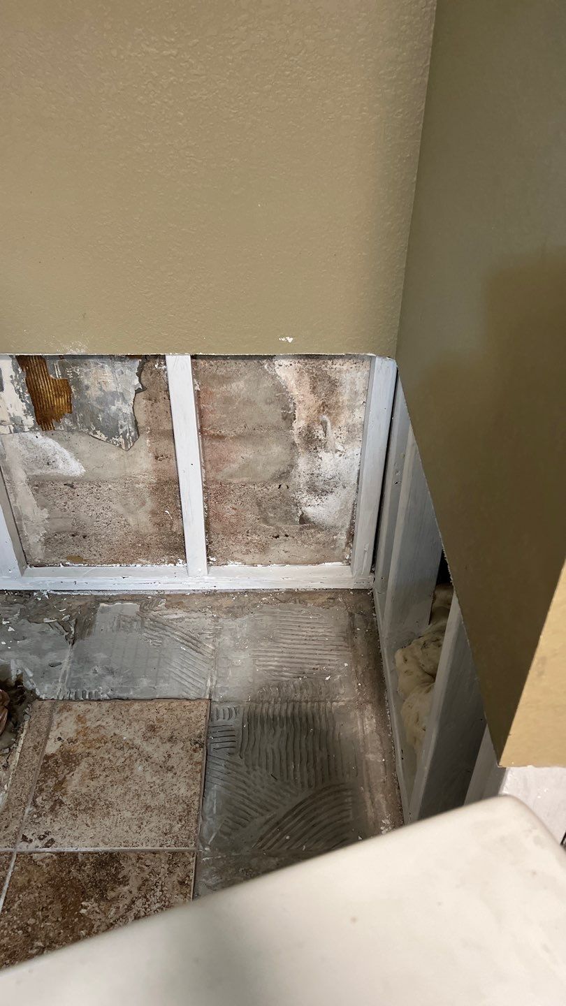 Water Damage and Mold Remediation by Accountable Home Services
