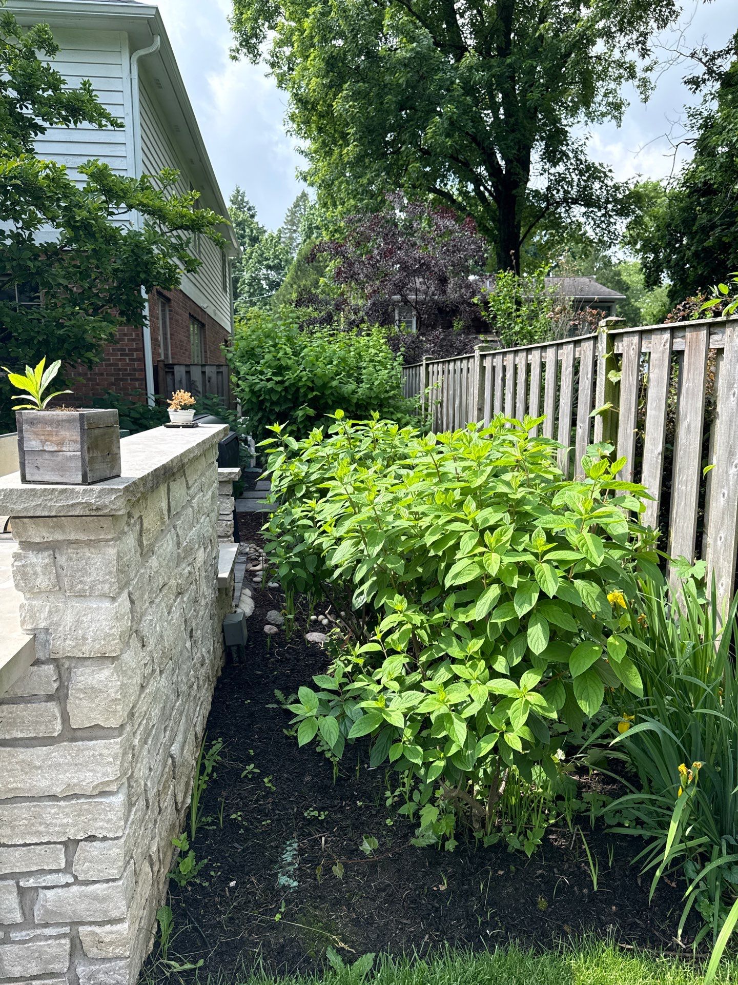 Kevin K. - Deerfield, IL by A&N
