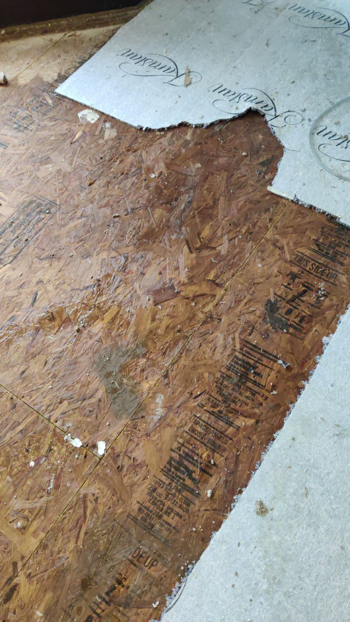 Water Damage Throughout Main Floor, Basement, and Crawl Space by Accountable Home Services