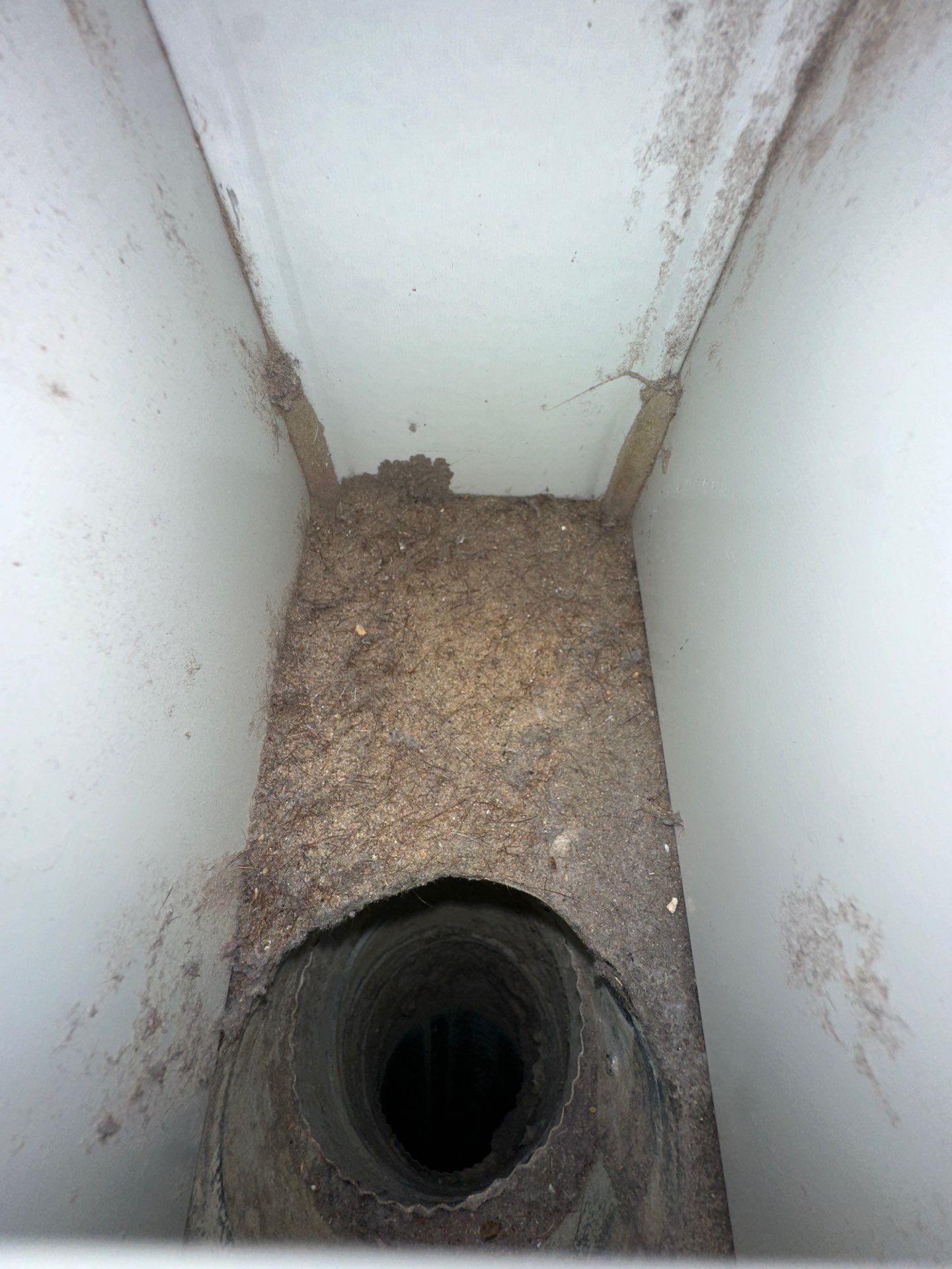Air Duct and Dryer Vent cleaning in Clermont by Hygienic Air, Inc
