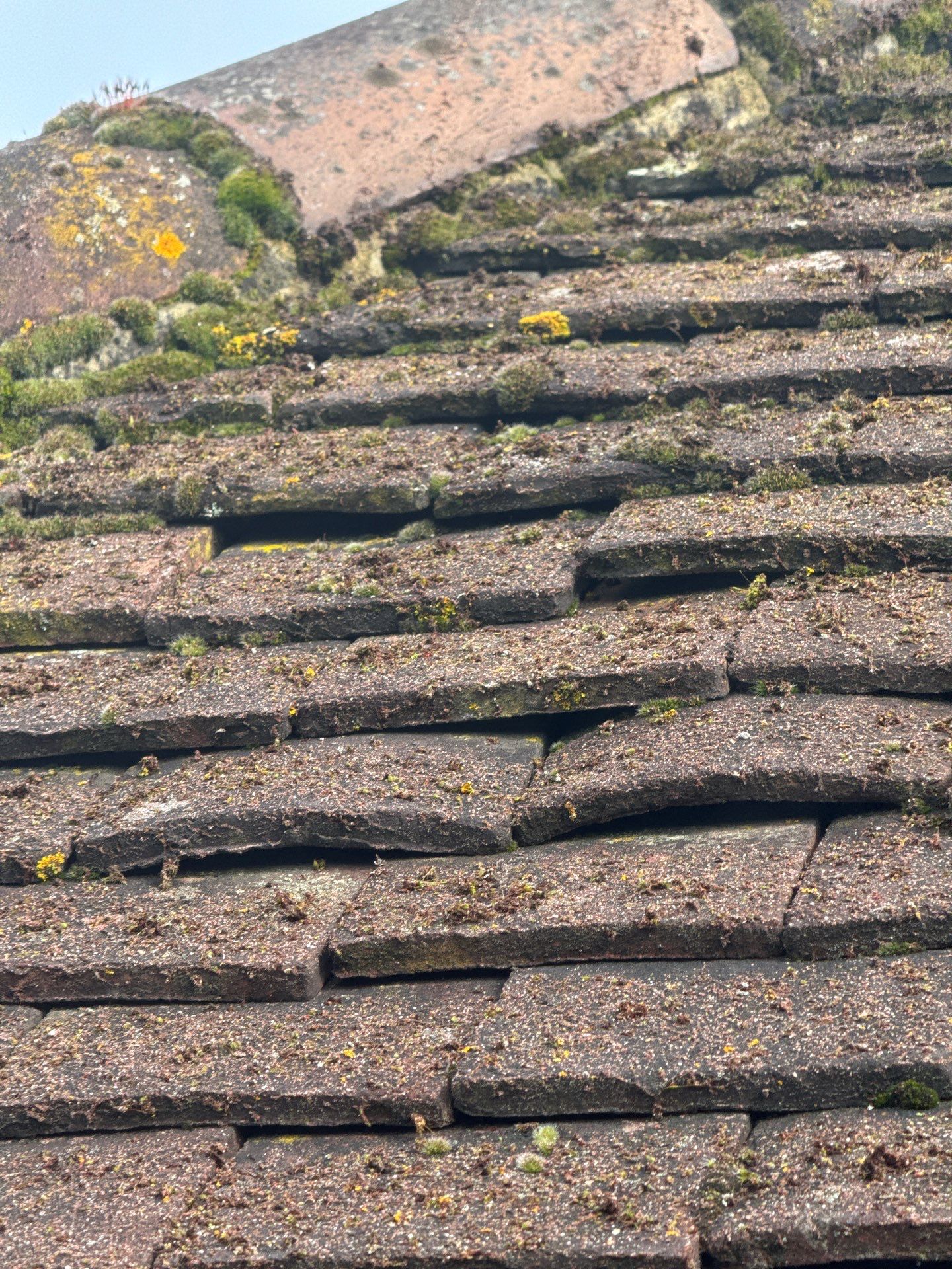 Exterior Clean - Roof - Patio - Driveway using Mosmatic FSC and Biocide by Ges Exterior Cleaning ltd