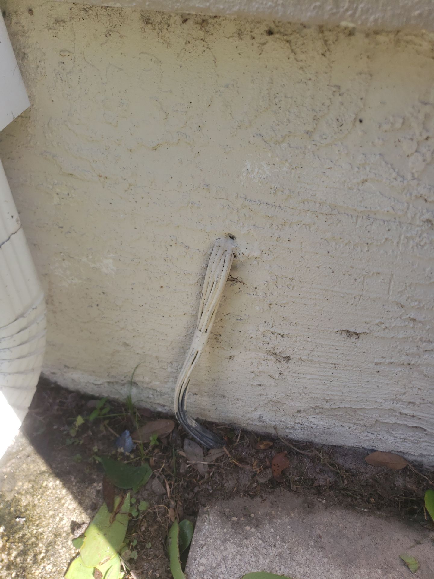 CoolWall Project in Bonita Springs by Sunbelt Home Solutions