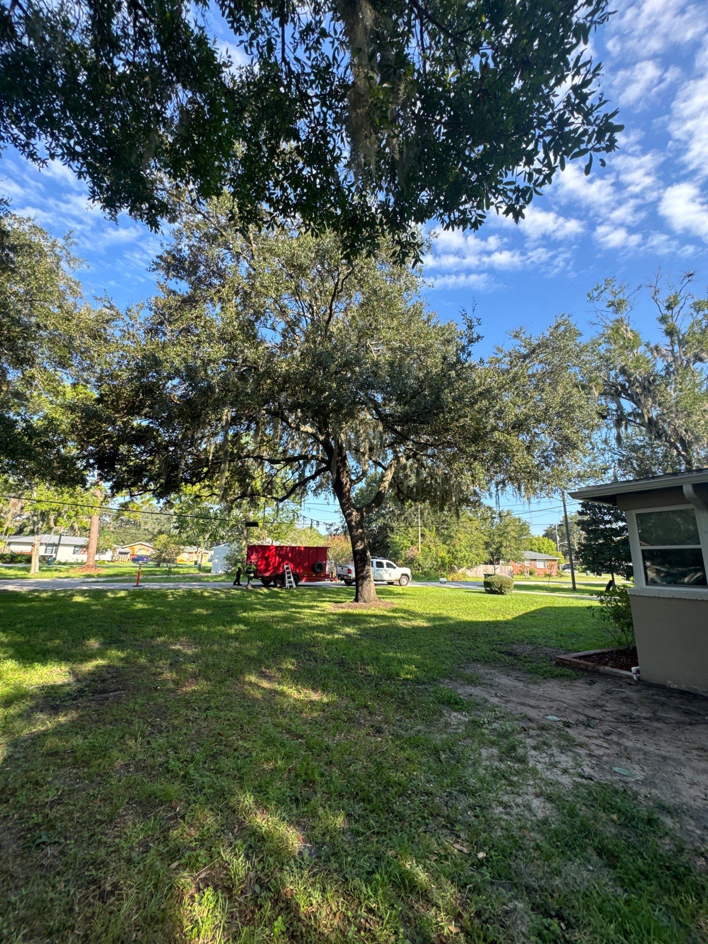 Residential | Tree Trimming  by ProGreen Services