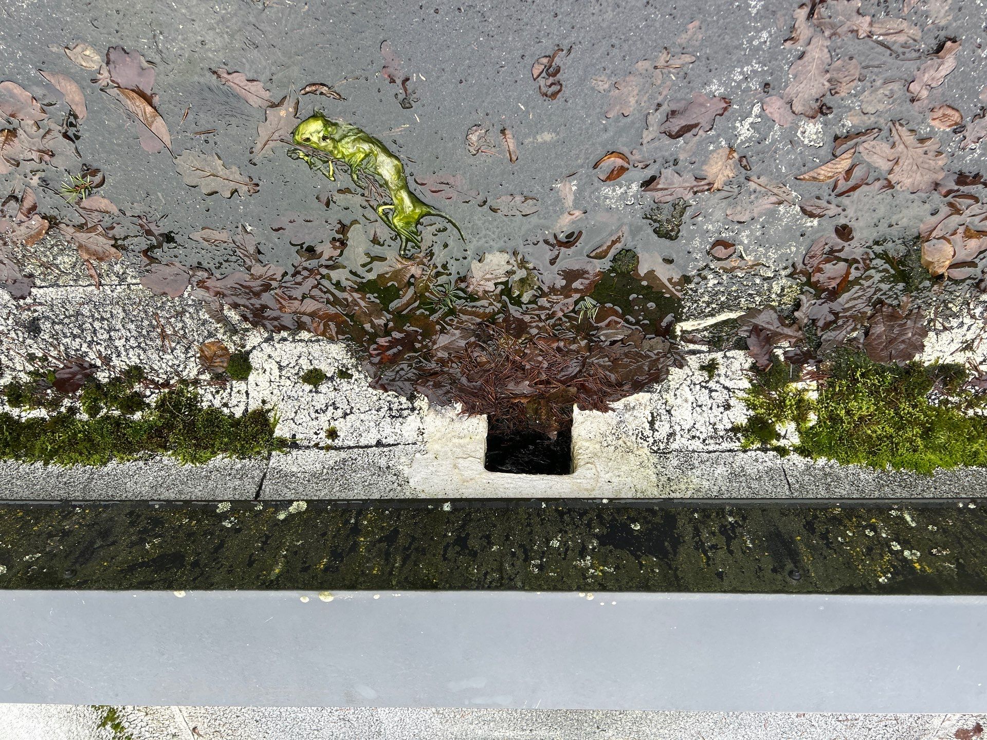 Project in Kirkland by Connolly Construction Company