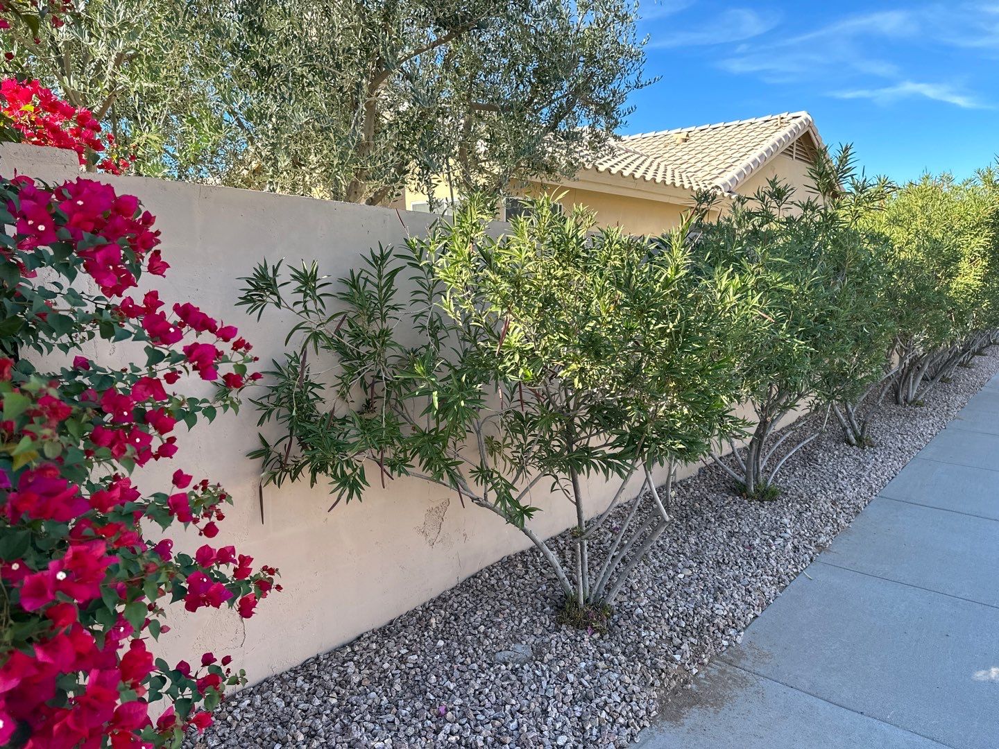 Gazzo - A Beautiful Home Exterior Transformation in Scottsdale, AZ with C&M Primer and Sherwin Williams Paints by Double G Painting Contractors, LLC