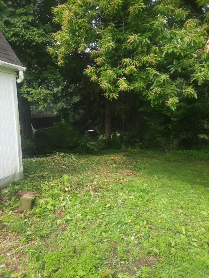 Tree Removal using Tree Removal by Mike Jones & Sons Tree Service LLC 