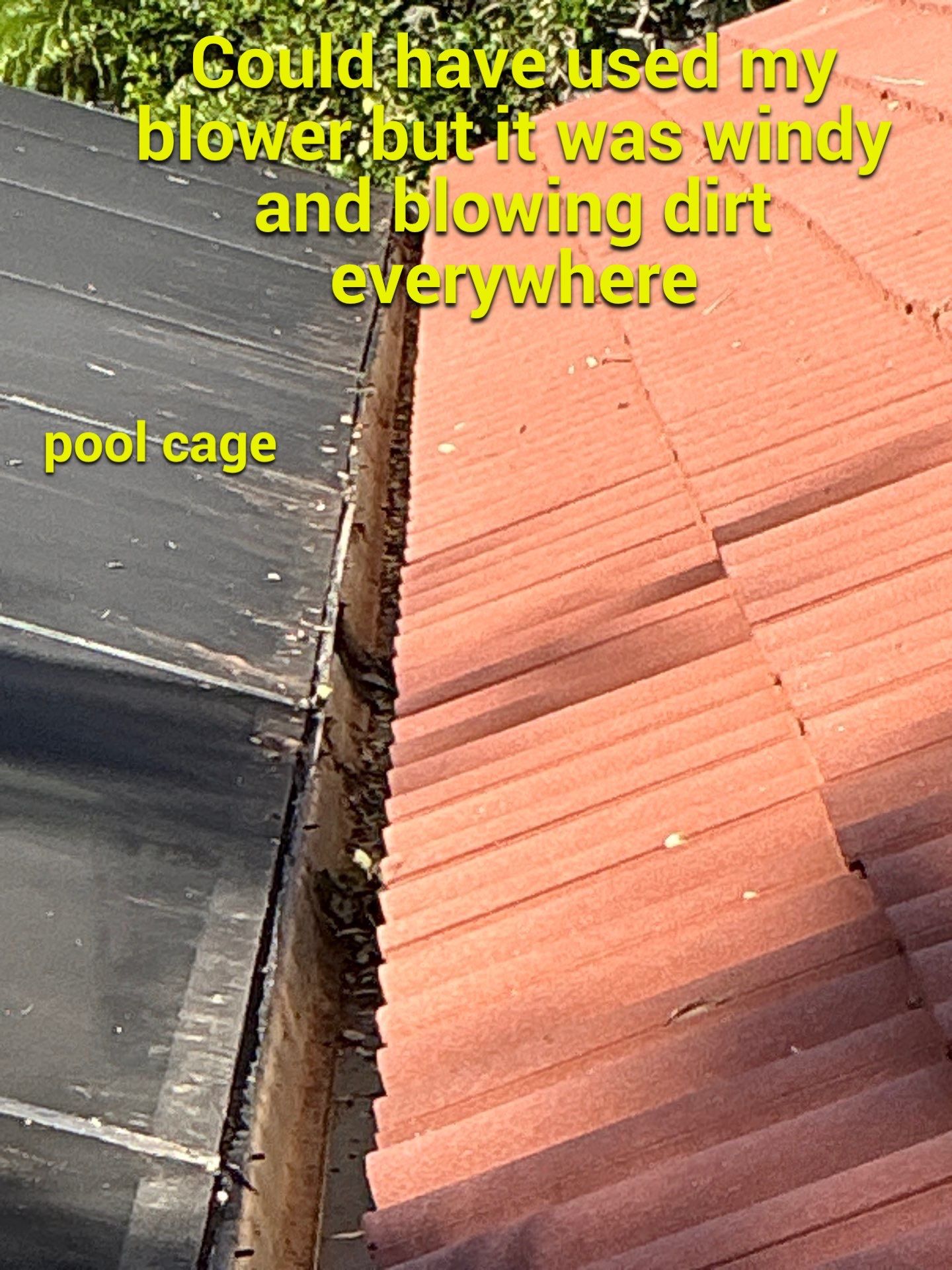 Gutter Cleaning Services in Sarasota FL by Gutter Professors