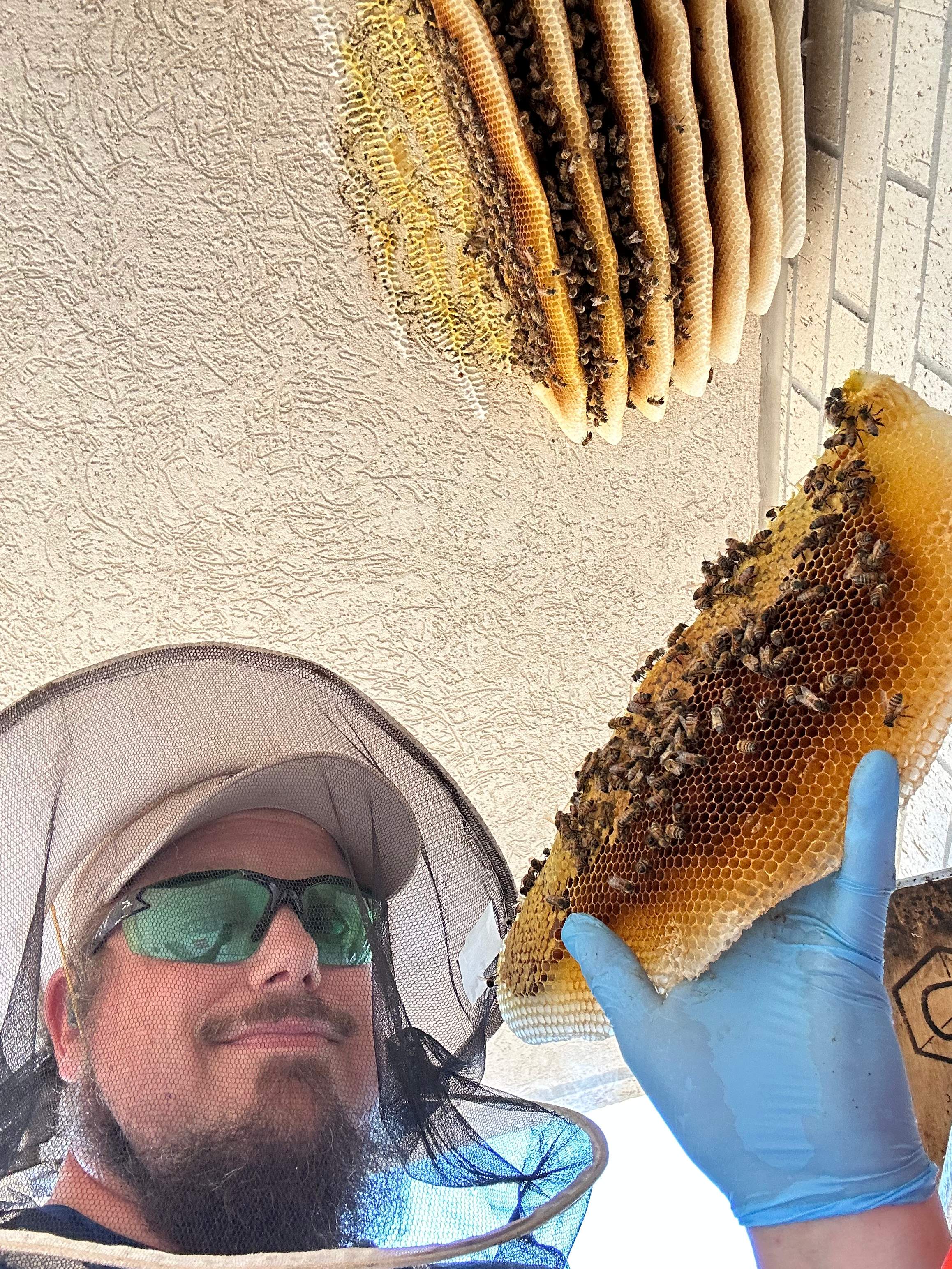 Business Center Entry by Rockwall Honey Bee Company