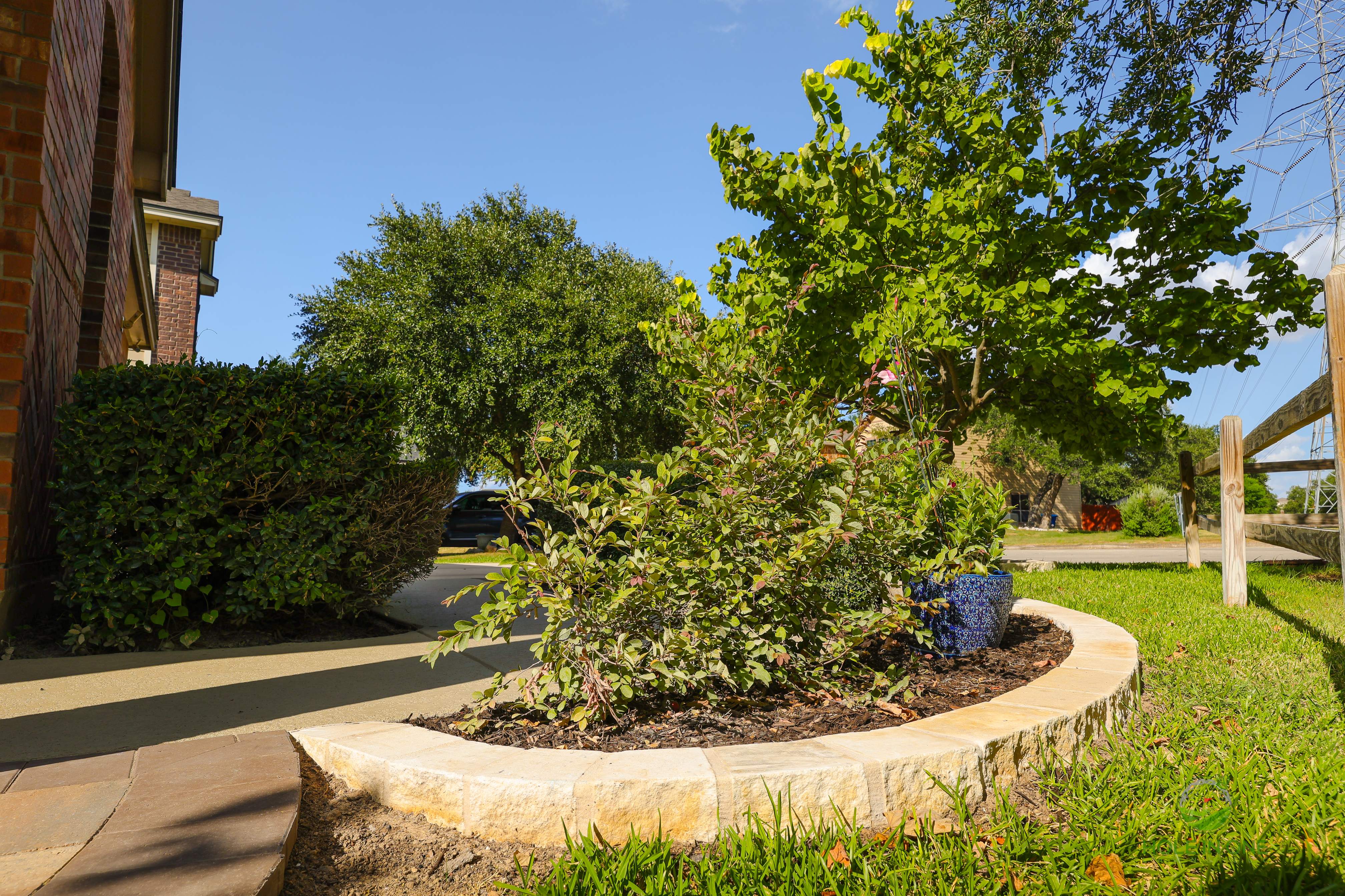 Wortham Oak, San Antonio TX by Hole In One Lawns, LLC