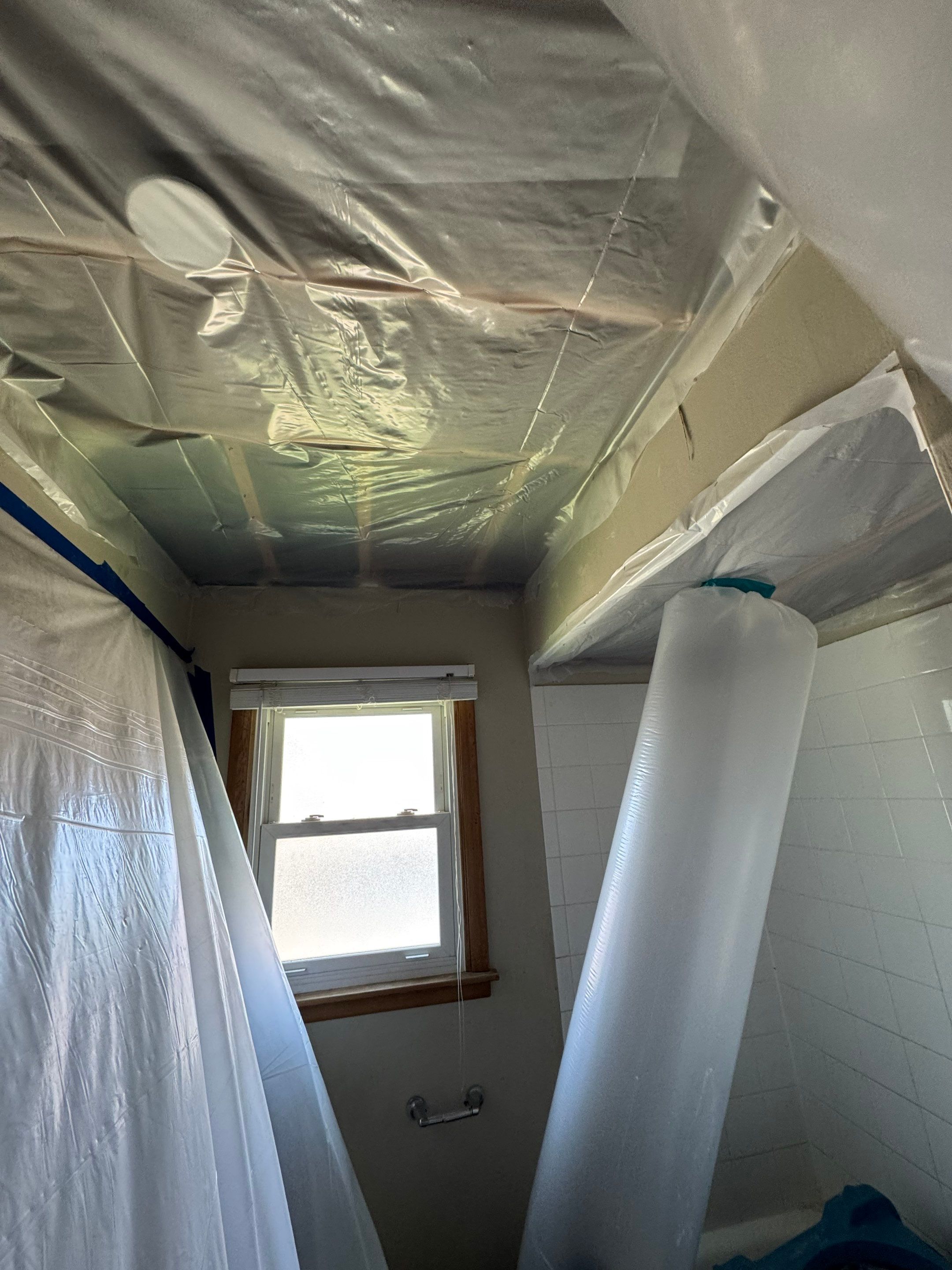 Bathroom Mold by Chicagoland Water Medics
