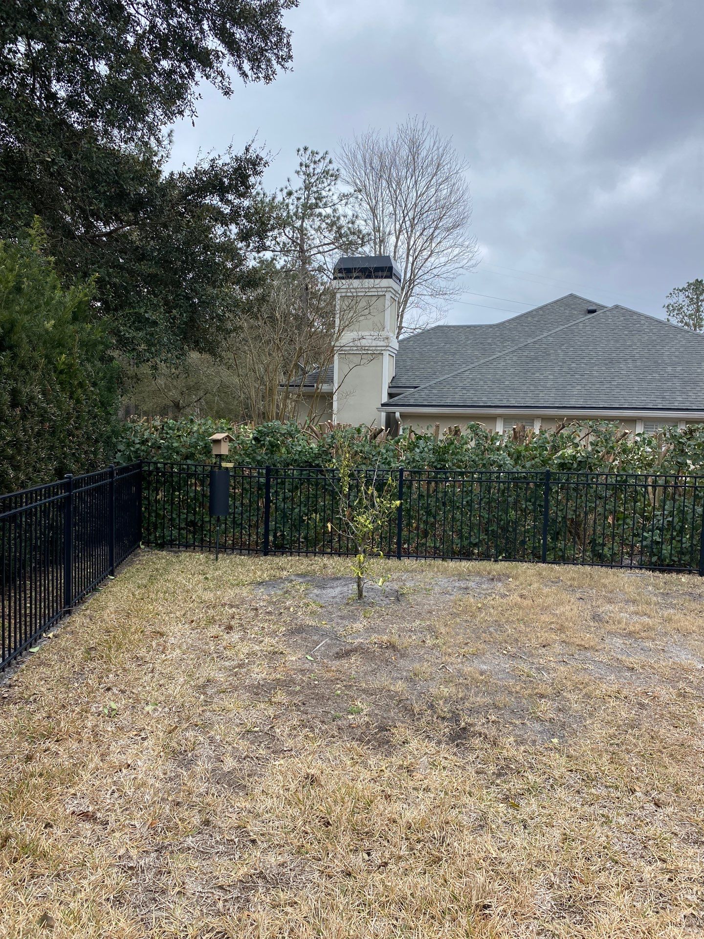 Residential | Hedge Trimming by ProGreen Services