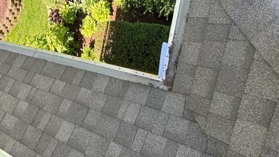Turtle Shell gutter protection installation in Naperville, IL 60564, photograph 4