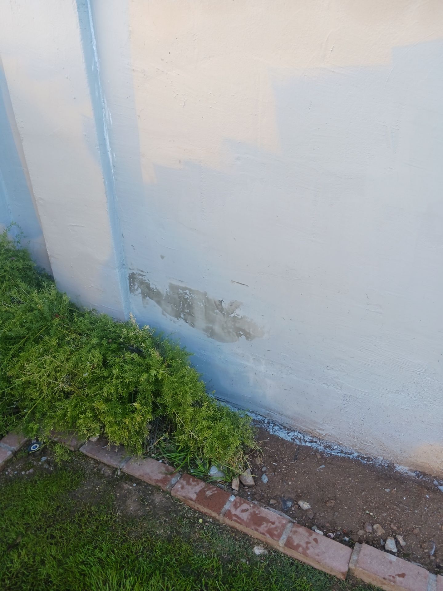 Phoenix by Crash of Rhinos Painting & Garage Floors