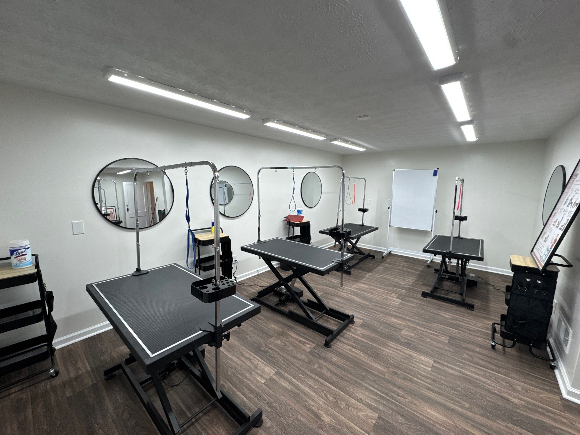 Commercial Pet Grooming Salon Interior Remodel in Powder Springs by Swift Home Renovations