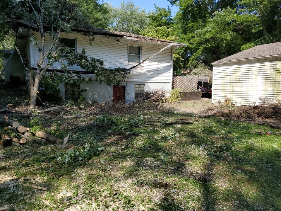 Storm Damaged Tree Removal  by Mike Jones & Sons Tree Service LLC 