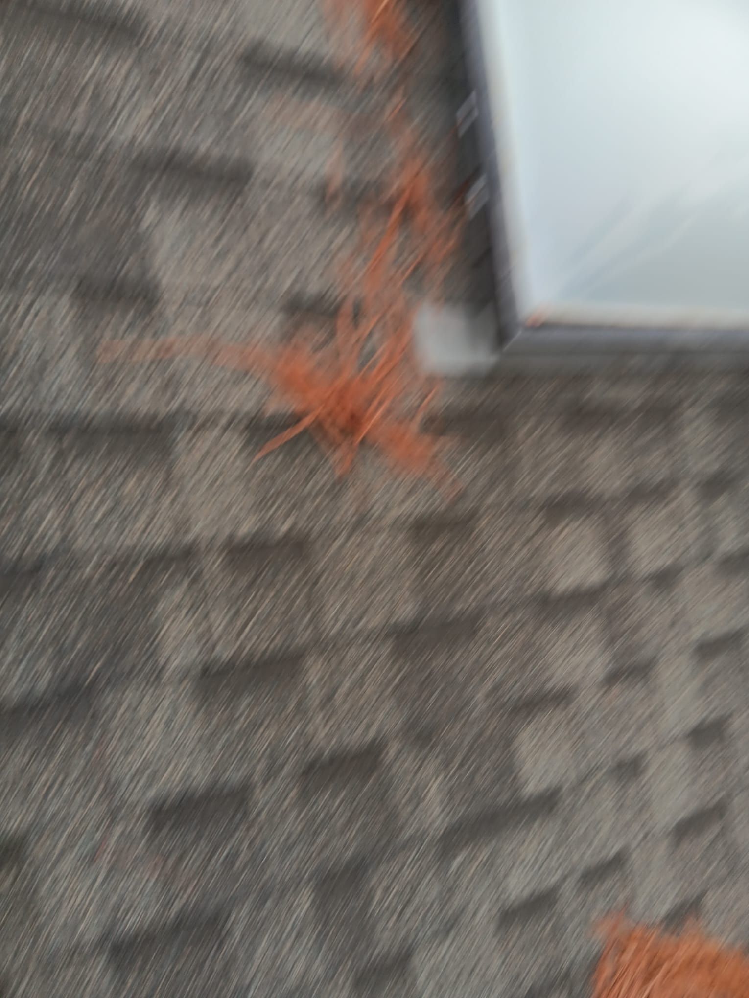 Roof Repair Spring by Roof Repair Company