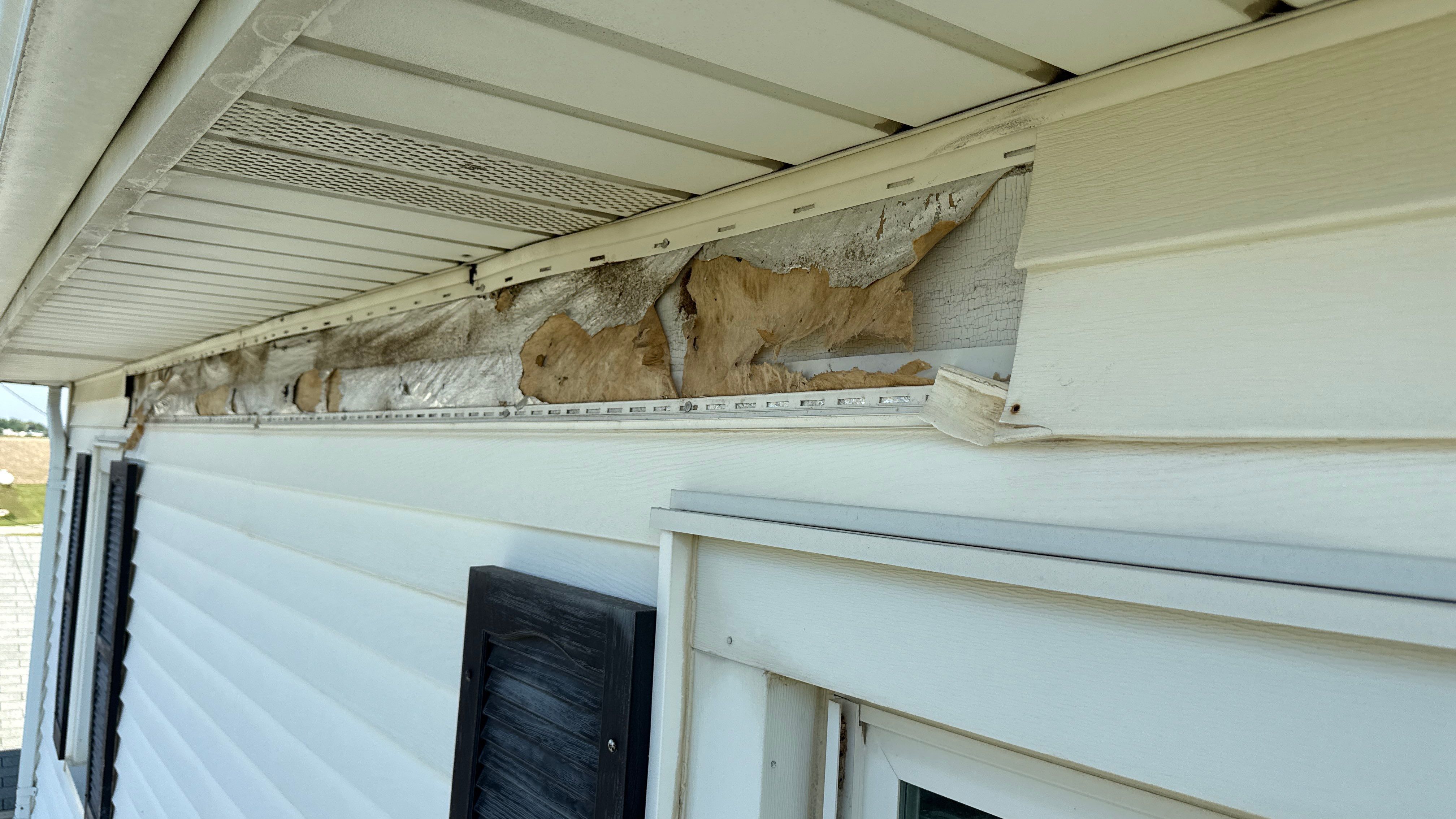 A Fresh Look with Midway Hawthorn Series Windows by United Windows and Siding LLC