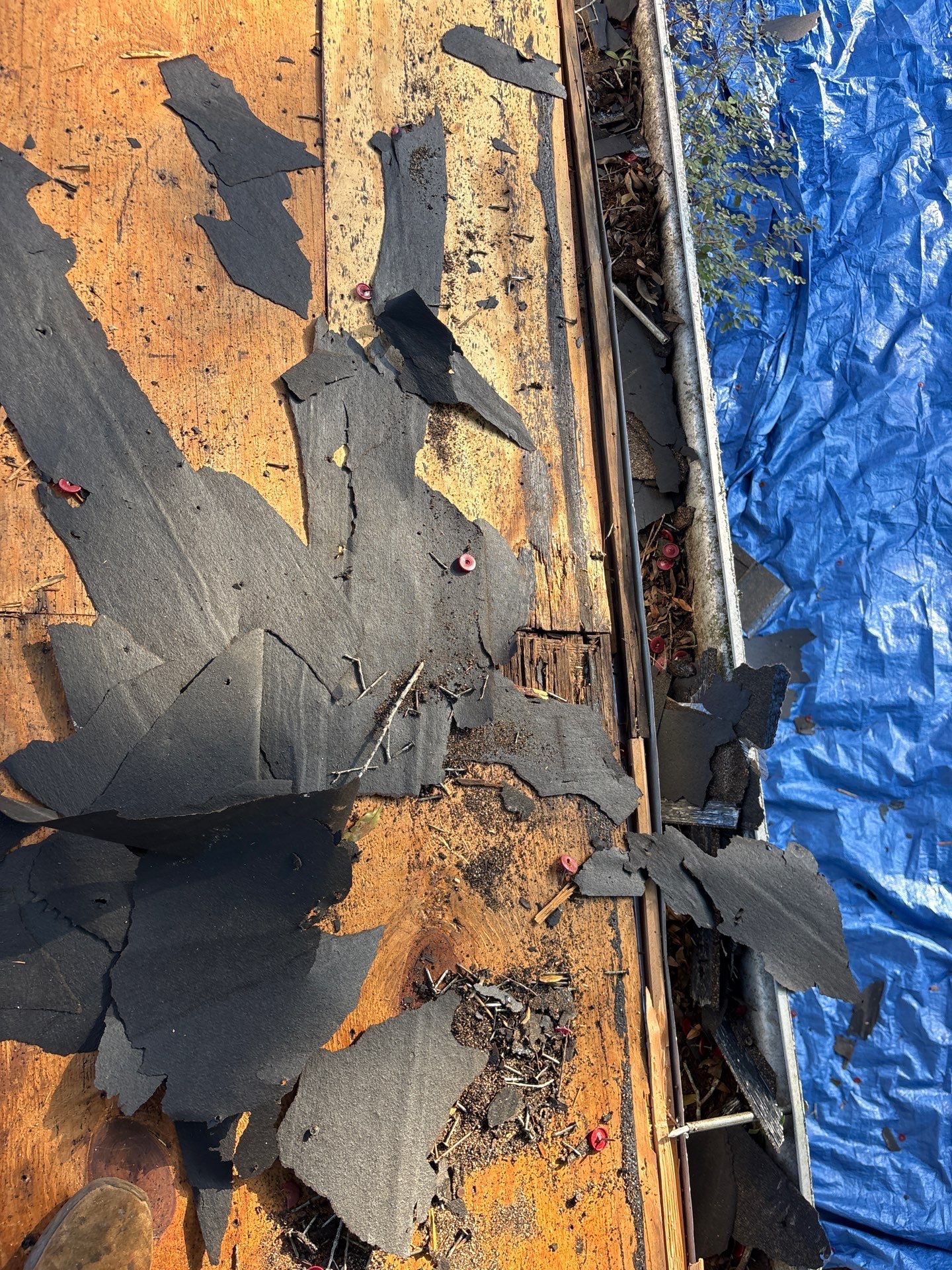 Project in Palm Harbor 34684 by Mitchell Roofing Company LLC