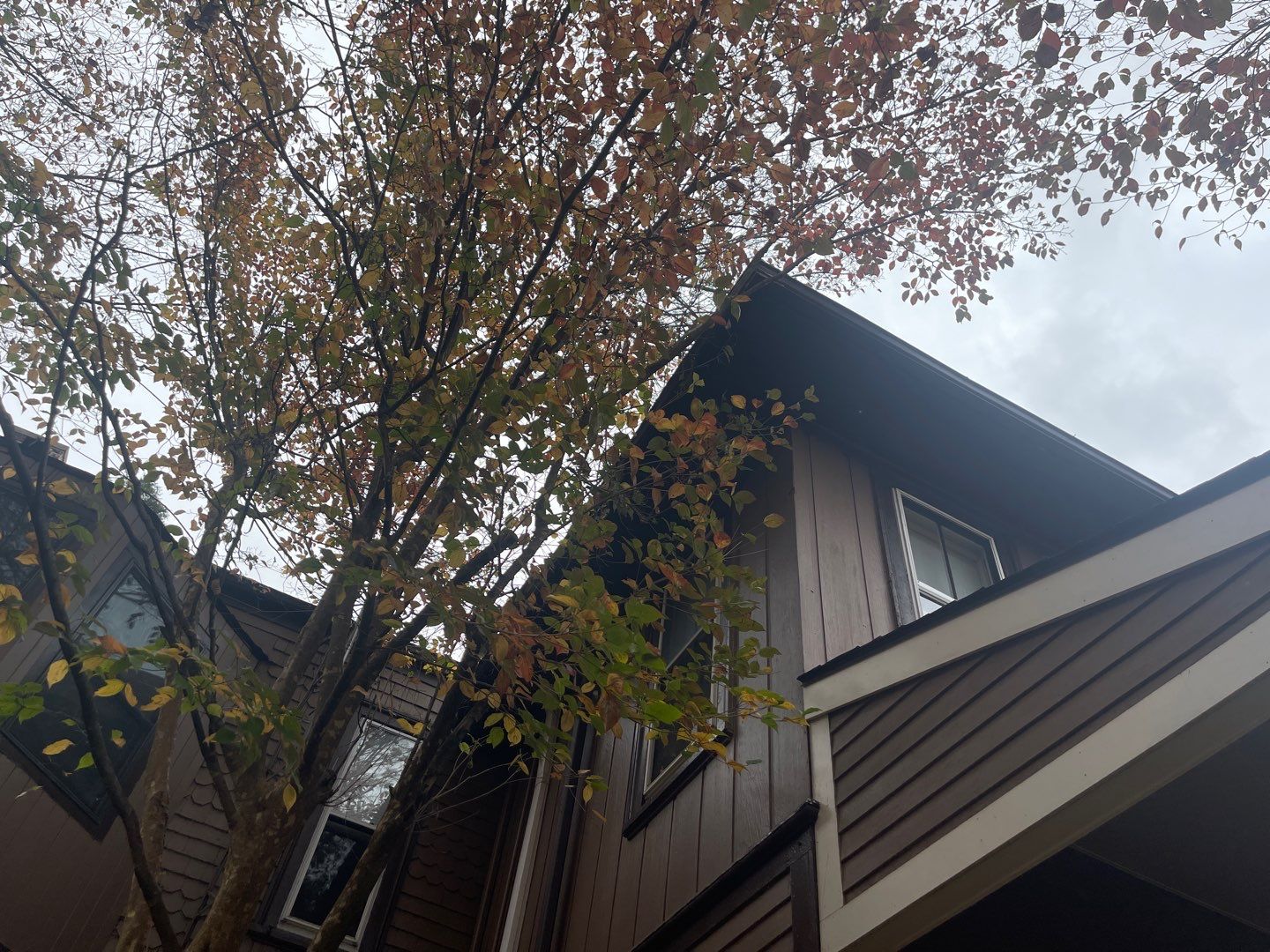 Residential Roofing Installation using Owens Corning TruDefinition Desert Tan by A Plus Exterior