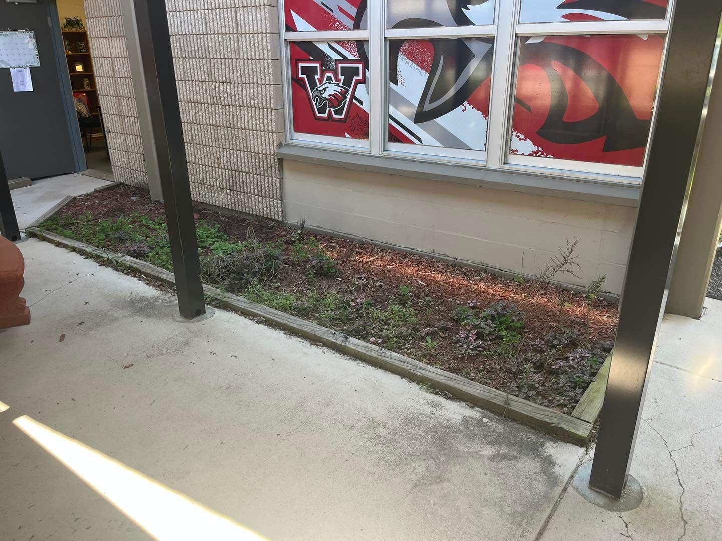 Landscape Install | Wilkinson JHS by ProGreen Services