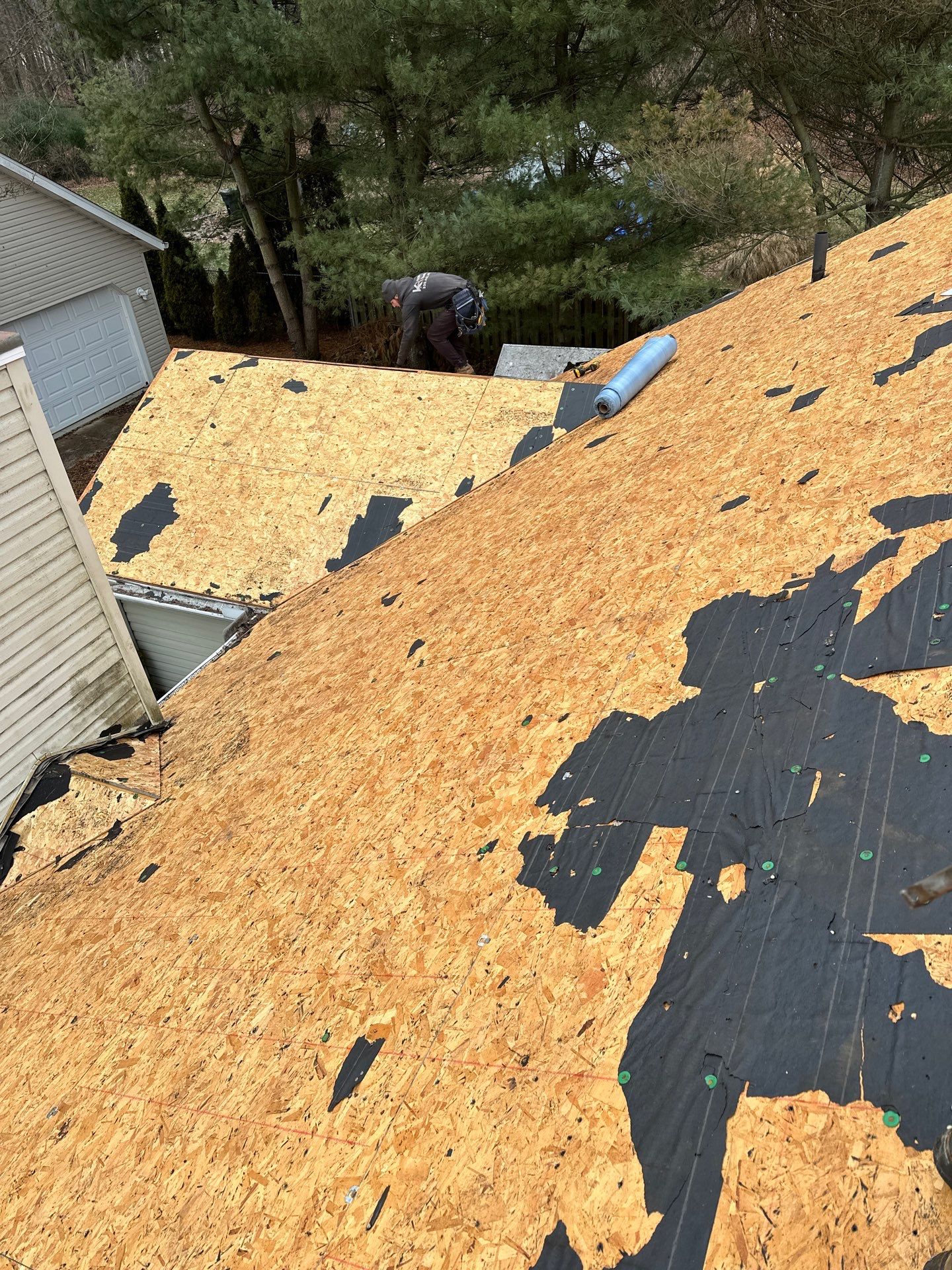 Alpha Rib, Color: Forest Green by Eagle Eye Roofing