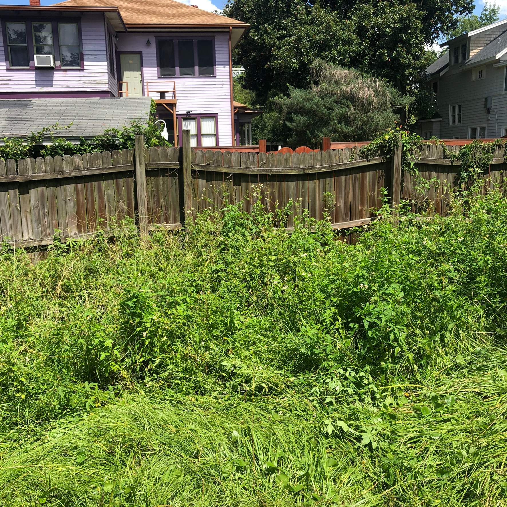 Extreme Clean Up | Riverside Area by ProGreen Services