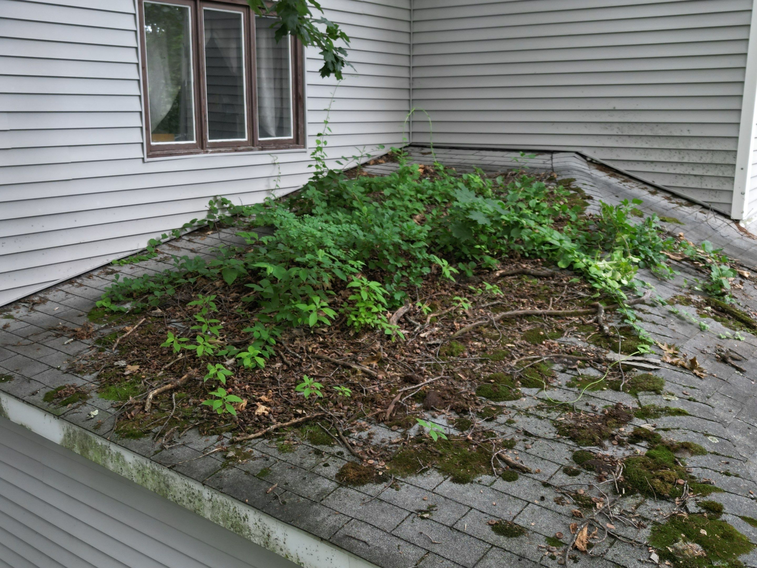 Roof Replacement and Chimney Repair in Fitchburg, MA by Mighty Dog Roofing of Greater Middlesex County