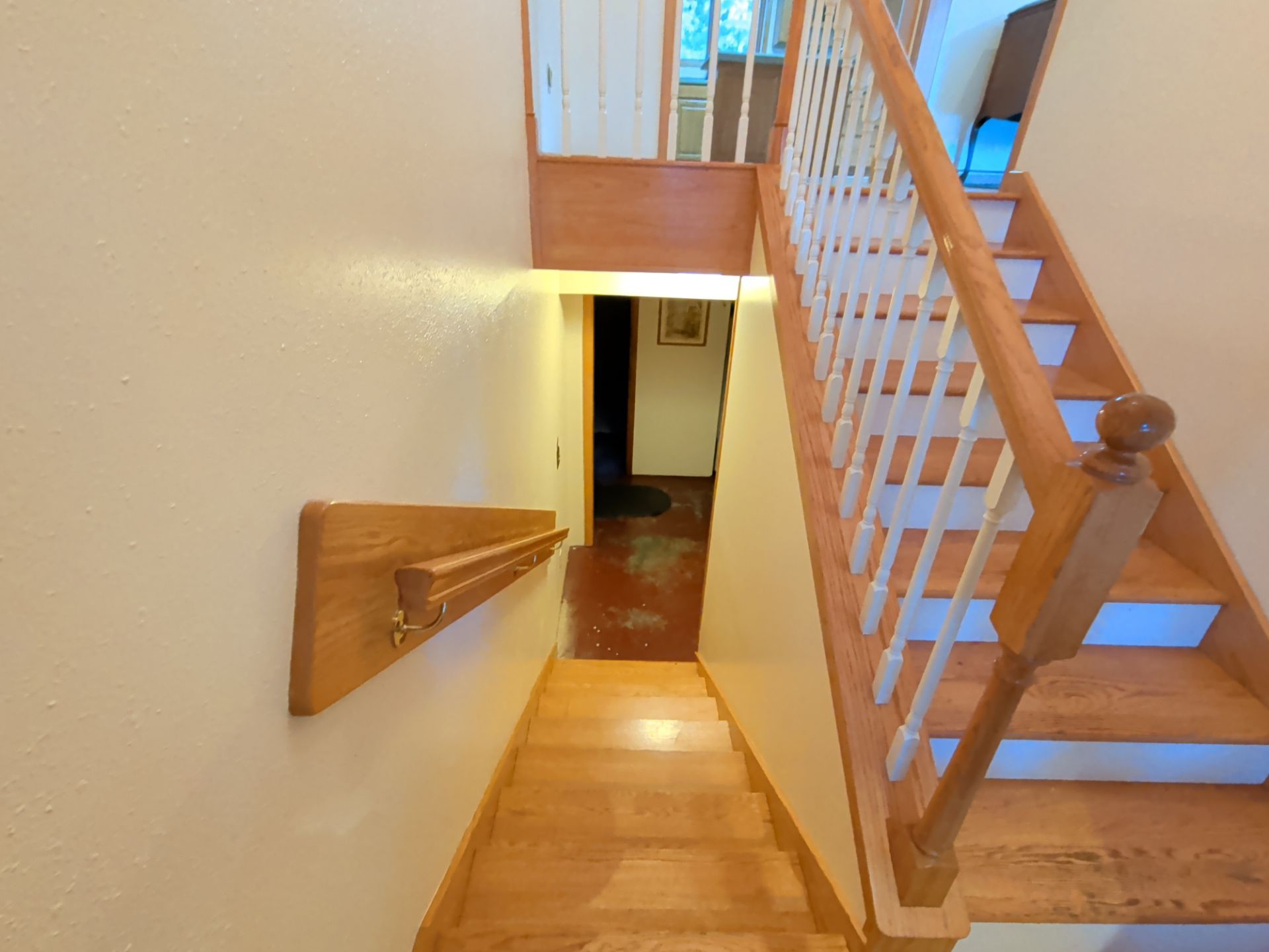 Interior Home Repaint by Midnight Sun Painting