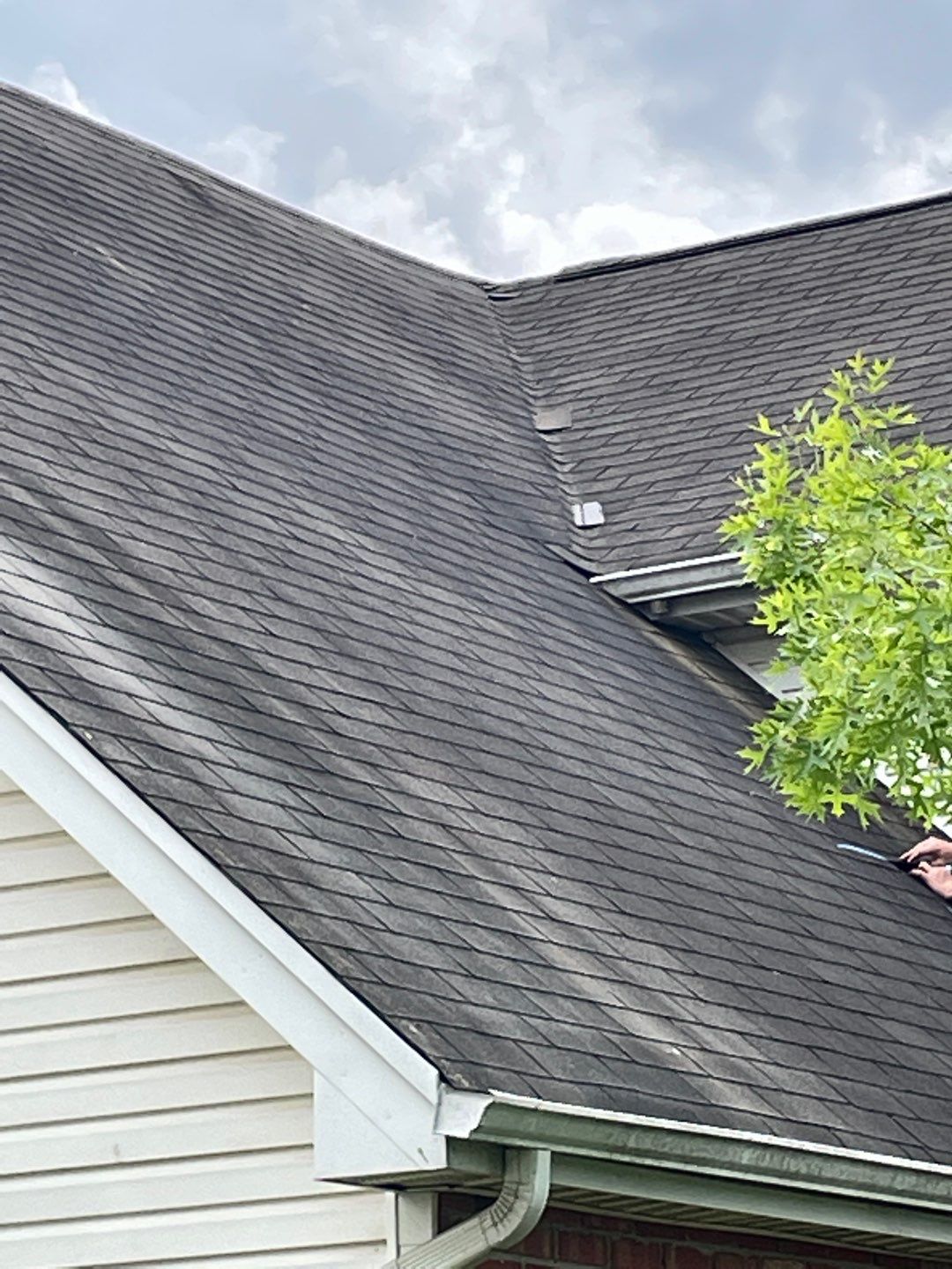 Insurance Paid for this New Owens Corning Oakridge Roofing System by Undersun Roofing 