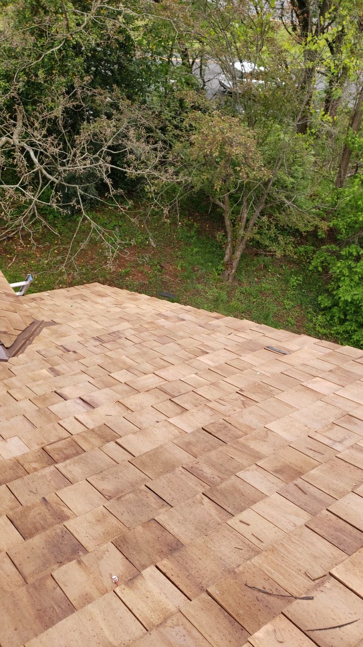 Gainesville Historic Structure: Western Red Cedar #1 Perfection G&R CCA Cedar Shakes by RM Banning, Inc.