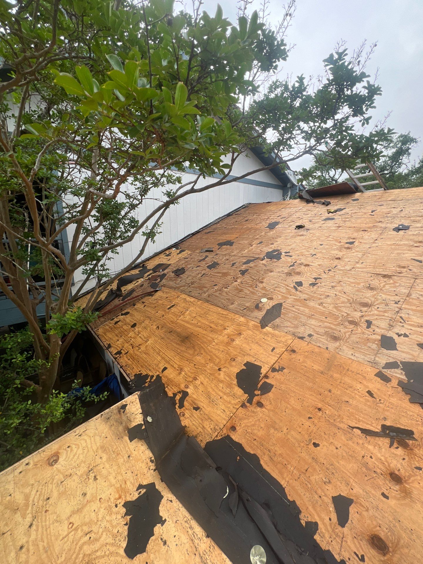Project in Austin by Rhino Roofing and General Contracting, LLC