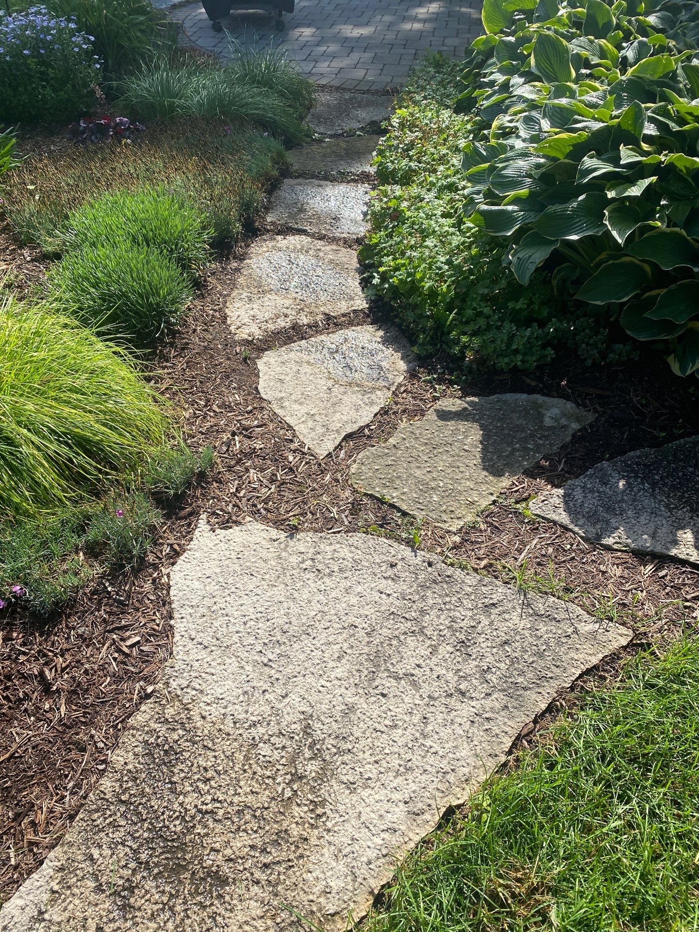 Patio and stepper cleaning by Shulla Exterior Cleaning