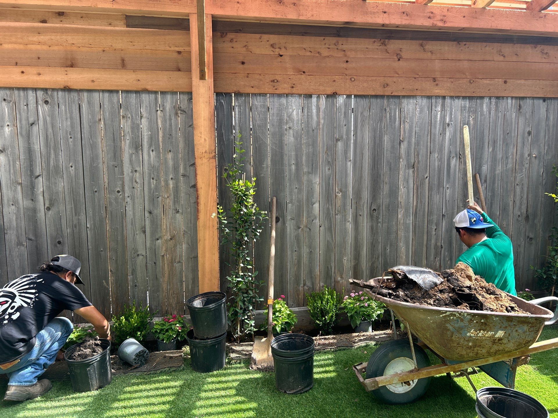 🌿 Kristy’s Backyard Privacy & Pergola Transformation by Texas Urban Elements