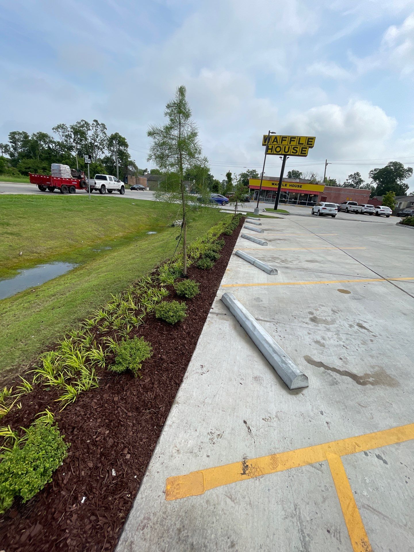 COMMERCIAL LAWN MAINTENANCE: HEDGE TRIM / BED CLEAN / MULCH INSTALL using BROWN MULCH "BARK BRITE" by CutScape, LLC.