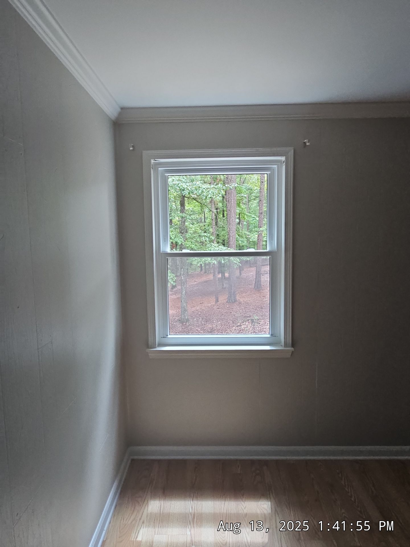 Reed Project in Chelsea by The Window Source