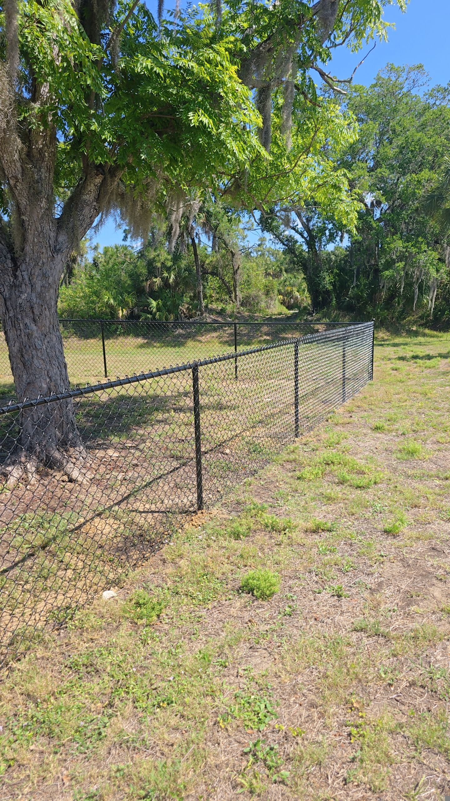 Chain Link Fence in North Port by True Fence LLC