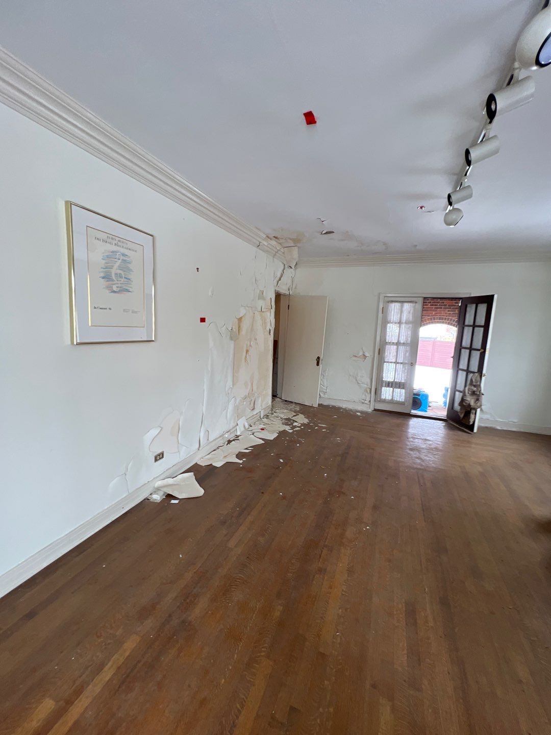 Mold Remediation by Accountable Home Services