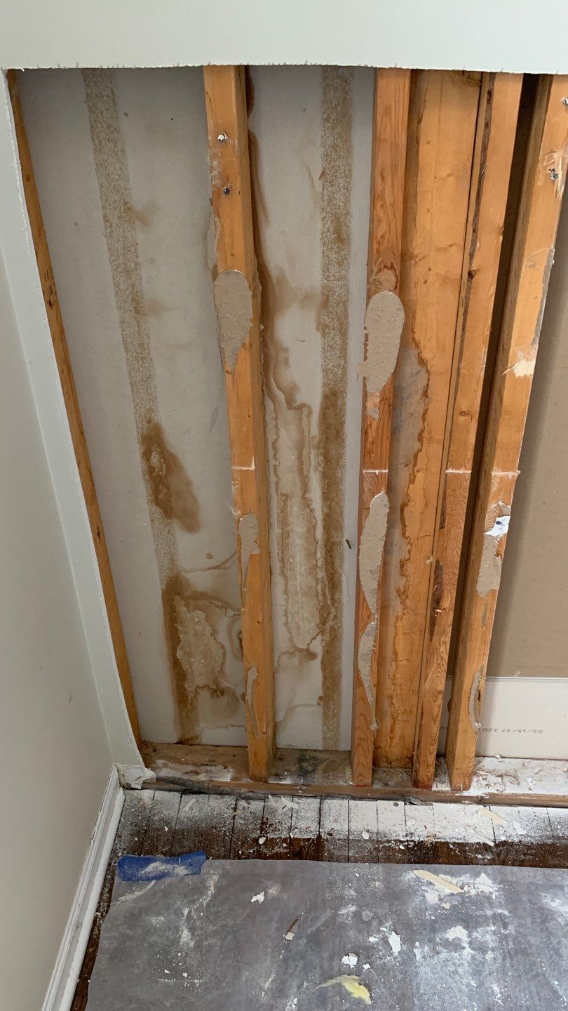 Multiple Roof Leaks by Chicagoland Water Medics